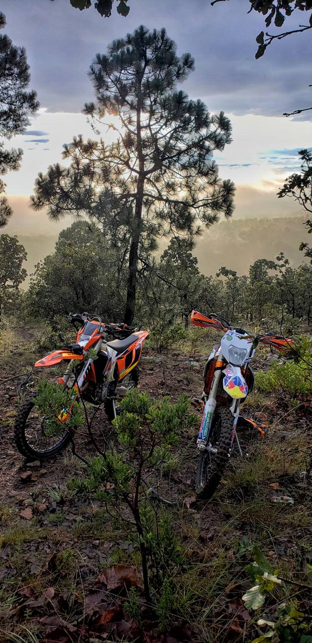 622x1280 KTM Enduro wallpaper