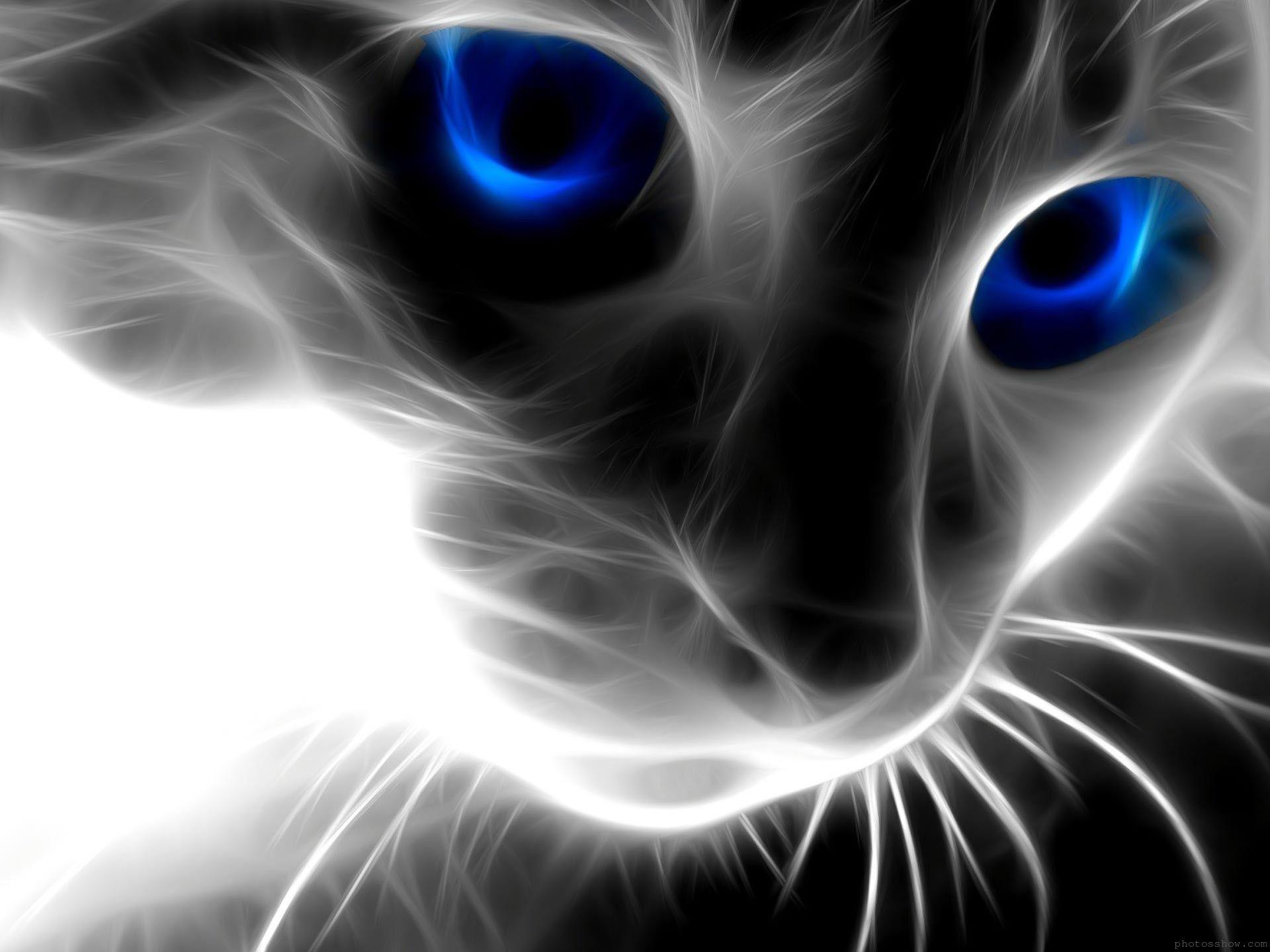 Black Cat Eyes Wallpapers Top Free Black Cat Eyes Backgrounds Wallpaperaccess