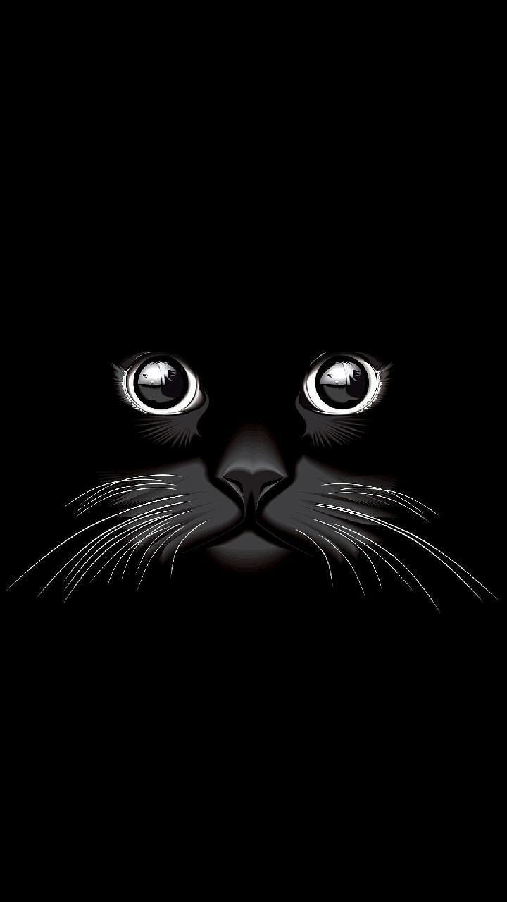 720x1280 Download Cat Eyes Wallpaper by DLJunkie now. Browse millions of popular cat Wallpaper an. Eyes wallpaper, Cat wallpaper, Cute cat wallpaper