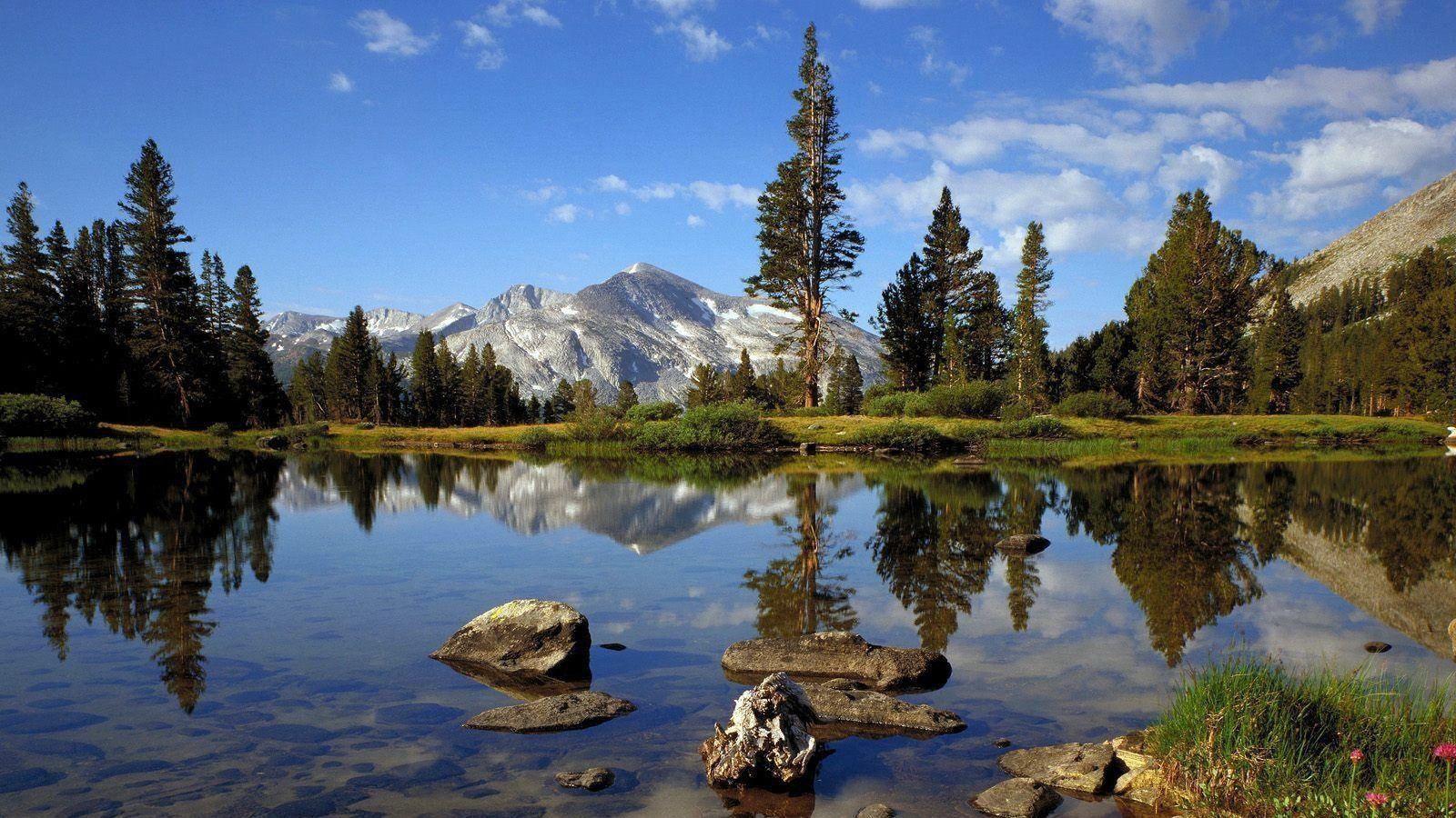 1600x900 Adult Nature Wallpaper 1600X900 .