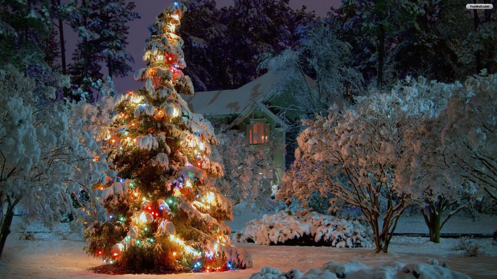 1600 X 900 Christmas Wallpapers Top Free 1600 X 900 Christmas — free download