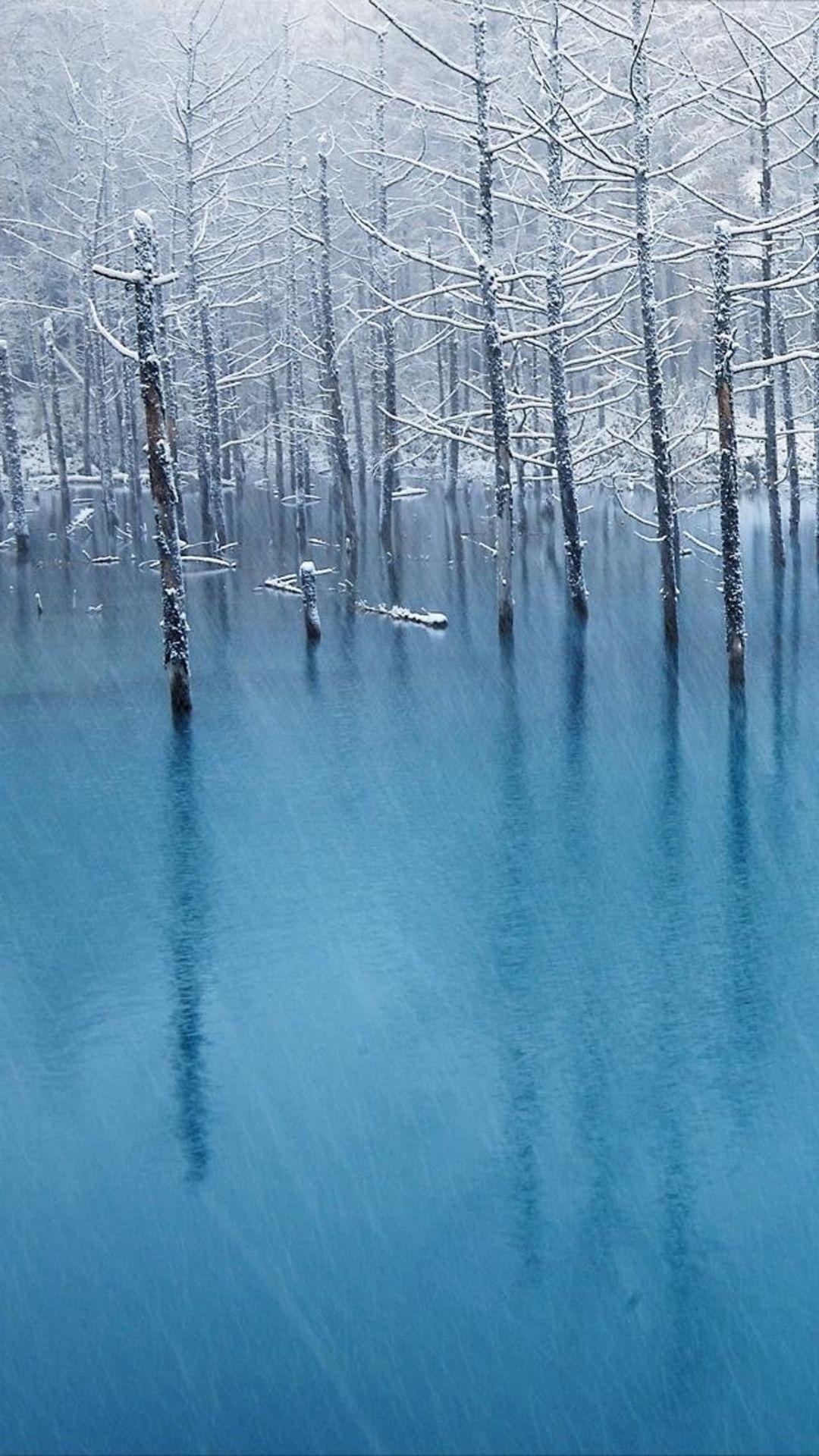 1080x1920 Pure Winter Wither Tree Grove Frozen Lake Landscape iPhone 6 Wallpaper Download. iPhone Wallpaper, iPad wa. Lake landscape, iPhone 6 wallpaper, Winter wallpaper