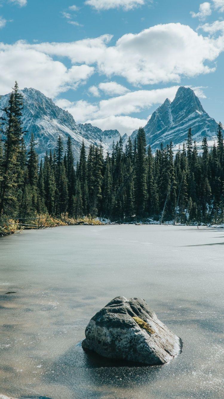 750x1334 Frozen Lake Covered In Trees Forest 5k iPhone iPhone 6S, iPhone 7 HD 4k Wallpaper, Image, Background, Photo and Picture