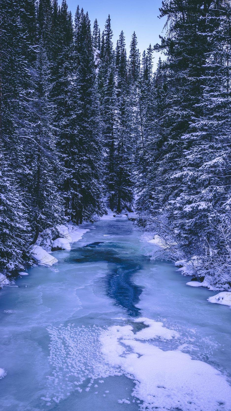 Frozen Forest iPhone 6 Wallpapers - Top Free Frozen Forest iPhone 6 ...