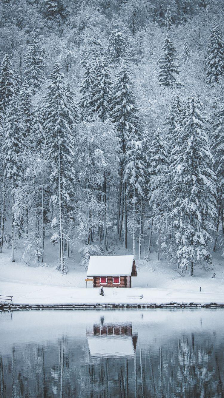 750x1334 Download 750x1334 wallpaper winter, house, lake, frozen lake, forest, nature, iphone iphone 750x1334 HD image, background, 23636