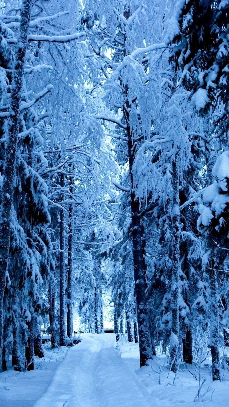 Frozen Forest iPhone 6 Wallpapers - Top Free Frozen Forest iPhone 6 ...