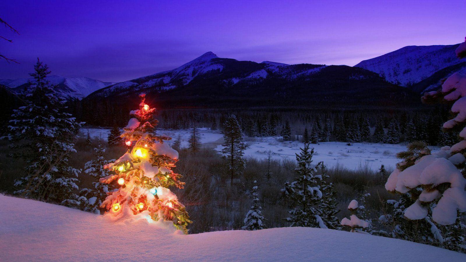 1600 X 900 Christmas Wallpapers Top Free 1600 X 900