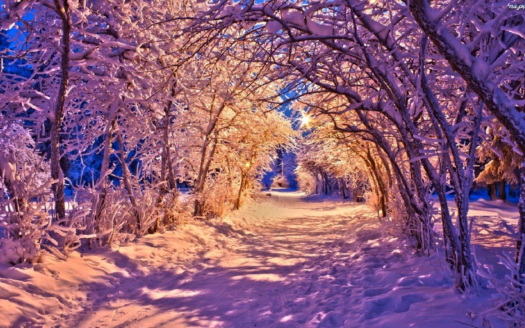 1680x1050 road through frozen forest with snow wallpaper by lizziebennet19. RevelWallpaper.net revelwallpaper.ne. Winter landscape, Winter wallpaper, Winter screensavers