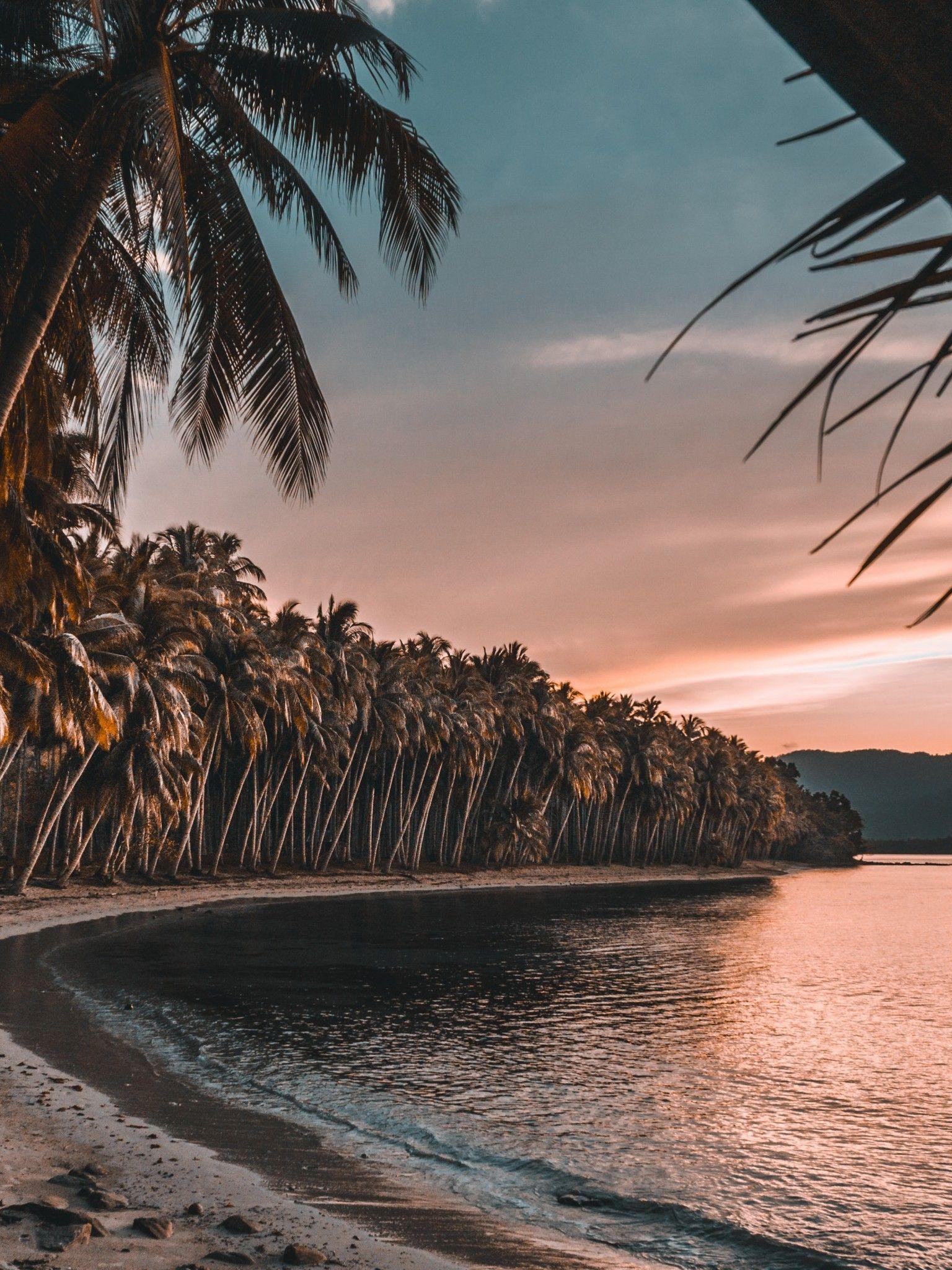1536x2048 Download 1536x2048 Palm Trees, Holiday, Island, Beach, Sunset Wallpaper for Apple iPad Mini, Apple IPad 4