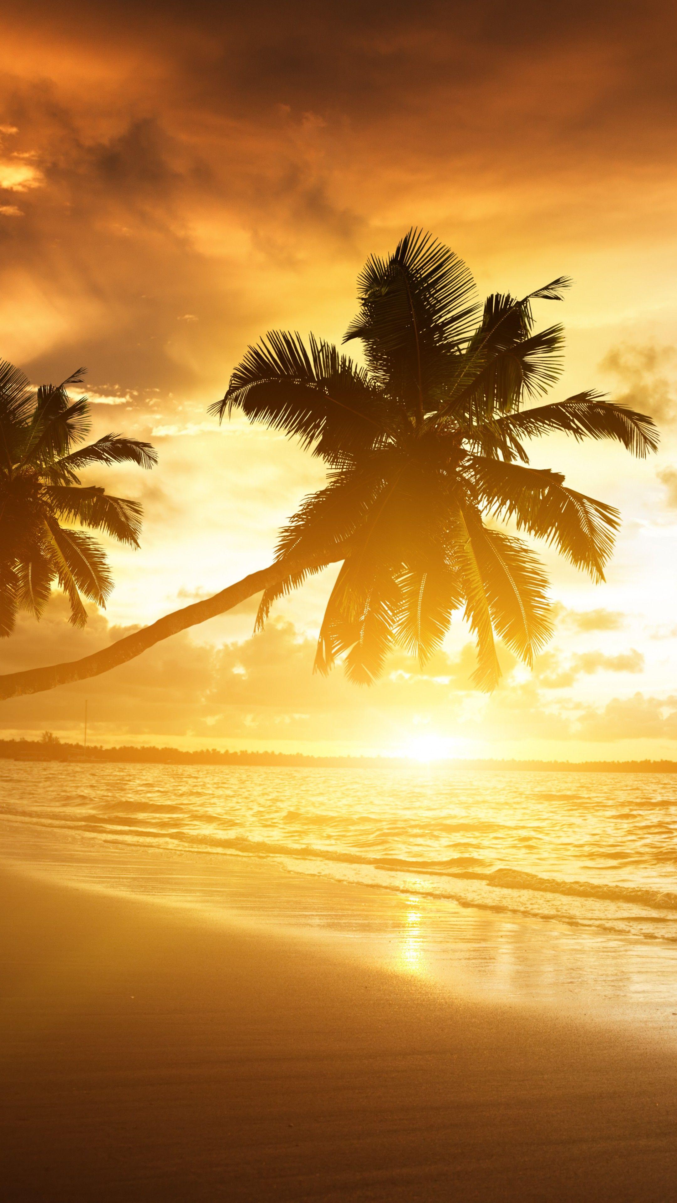 2160x3840 Wallpaper beach, 5k, 4k wallpaper, ocean, sunset, palm trees, vacation, journey, Nature