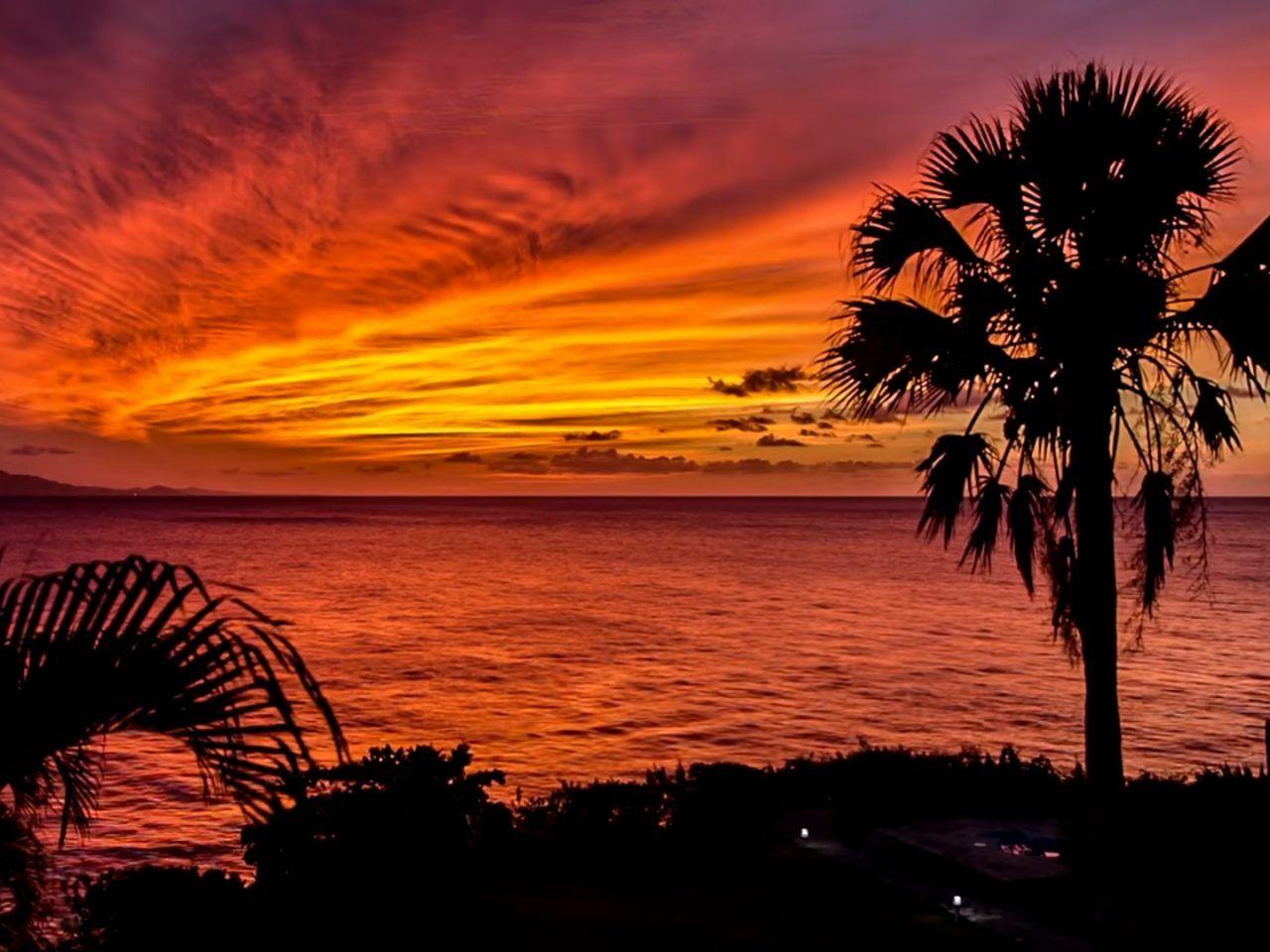 1280x960 Colorful Sunset Palm Trees Ocean Horizon Romantic Sunset Wallpaper HD :