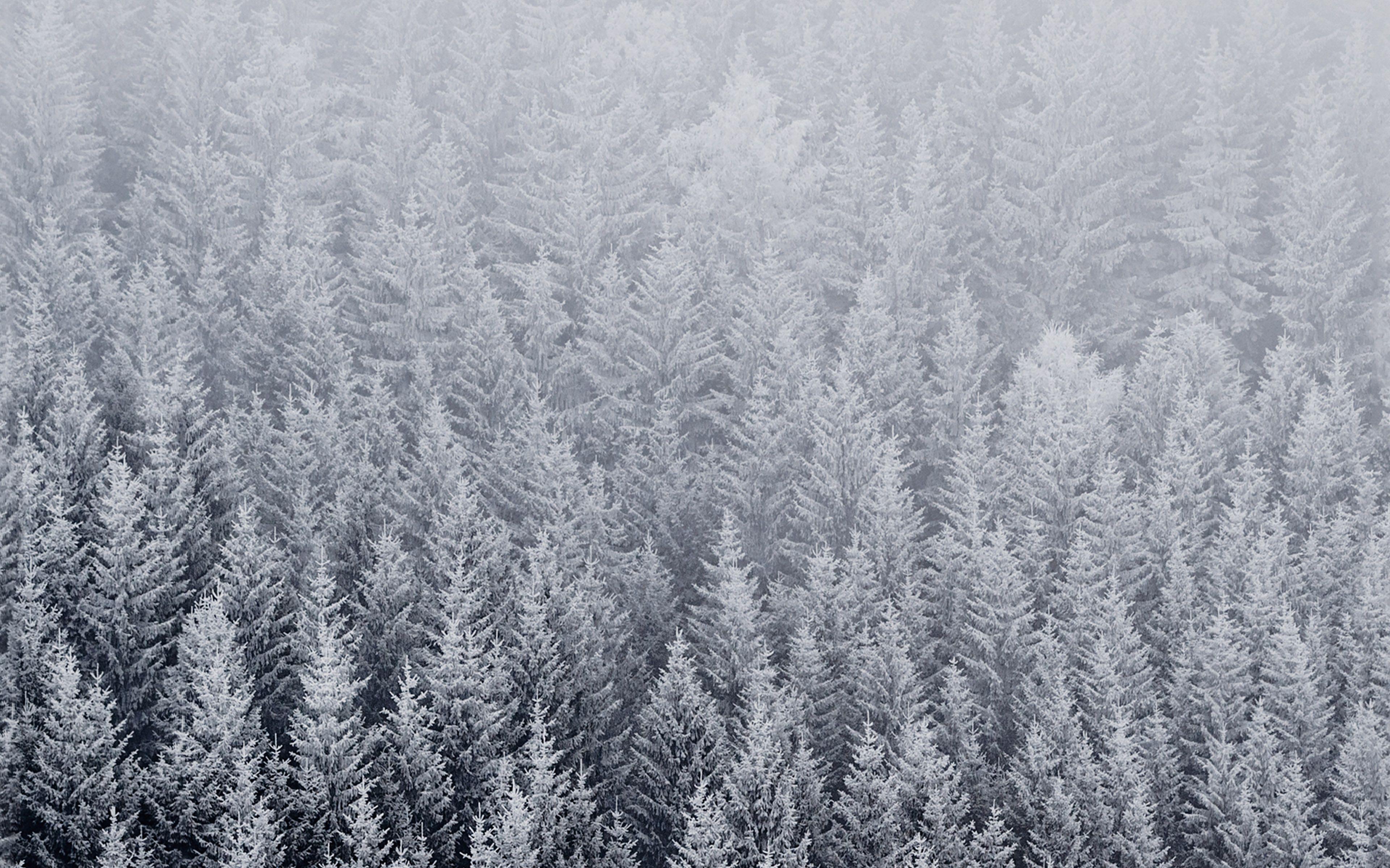 3840x2400 wallpaper for desktop, laptop. wallpaper ios8 iphone6 plus apple official default snow mountain