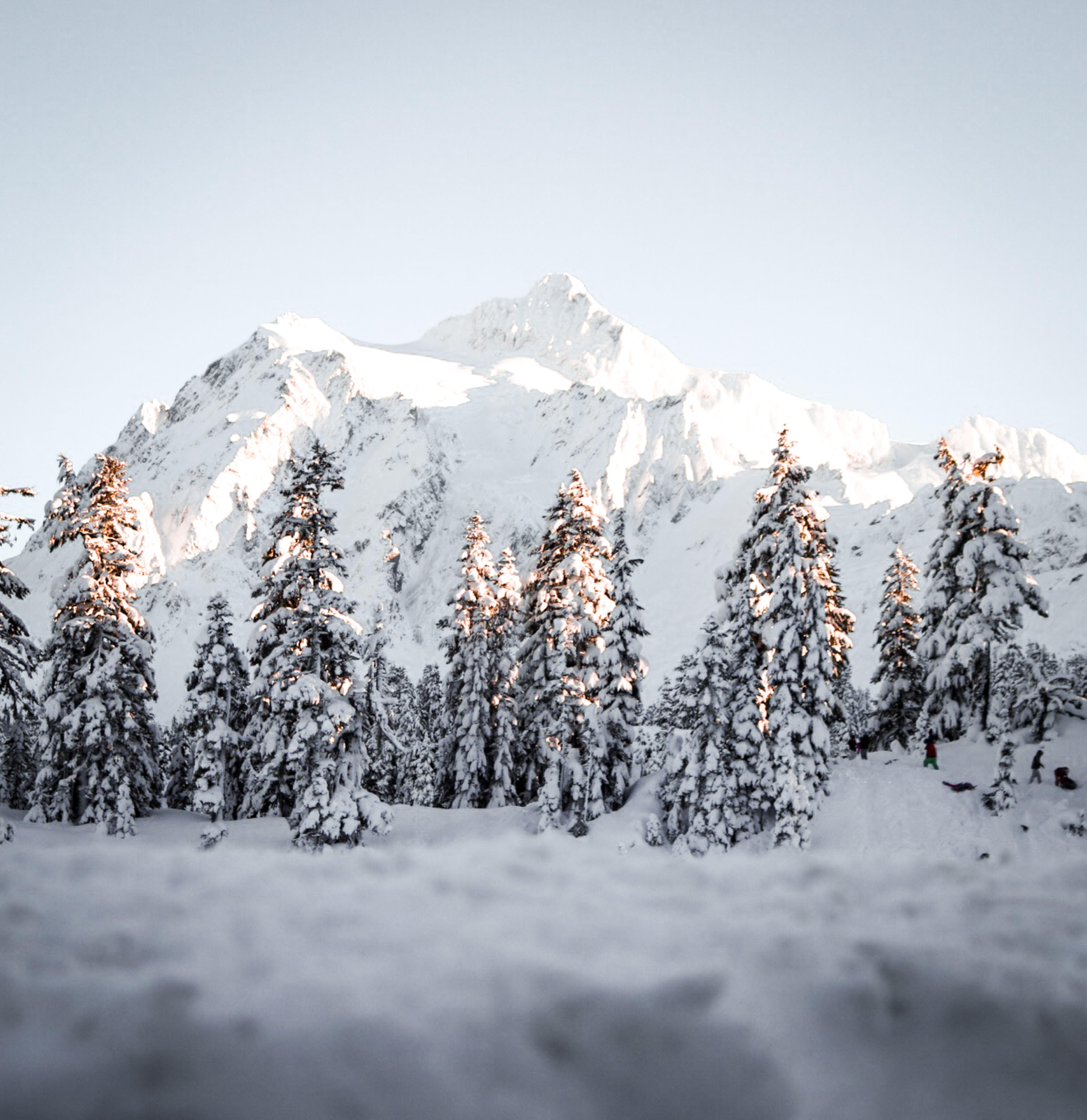6794x7000 Frozen iPhone Wallpaper