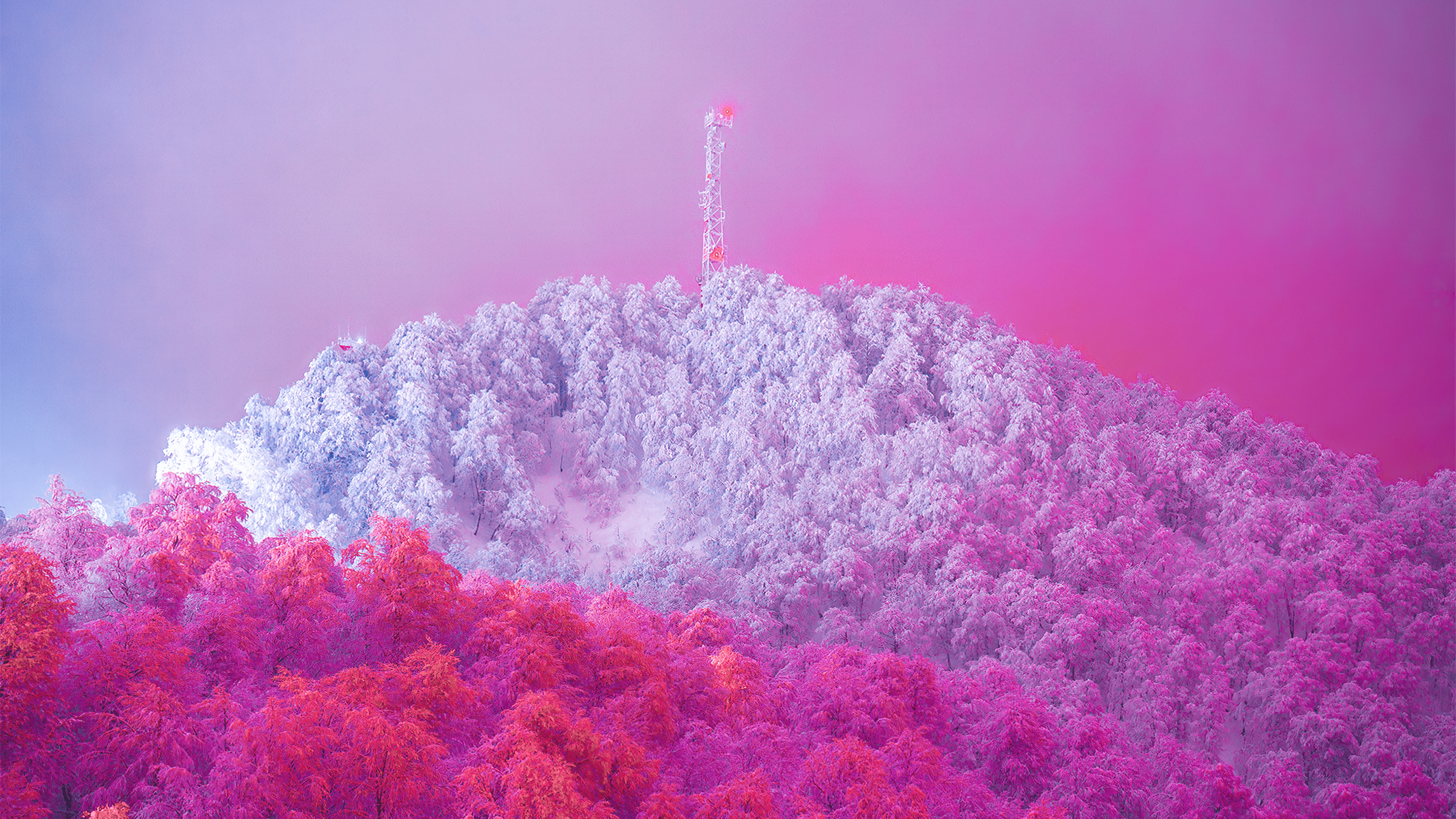 3840x2160 Sweet Winter Tower by Visual Scientist [3840x2160]