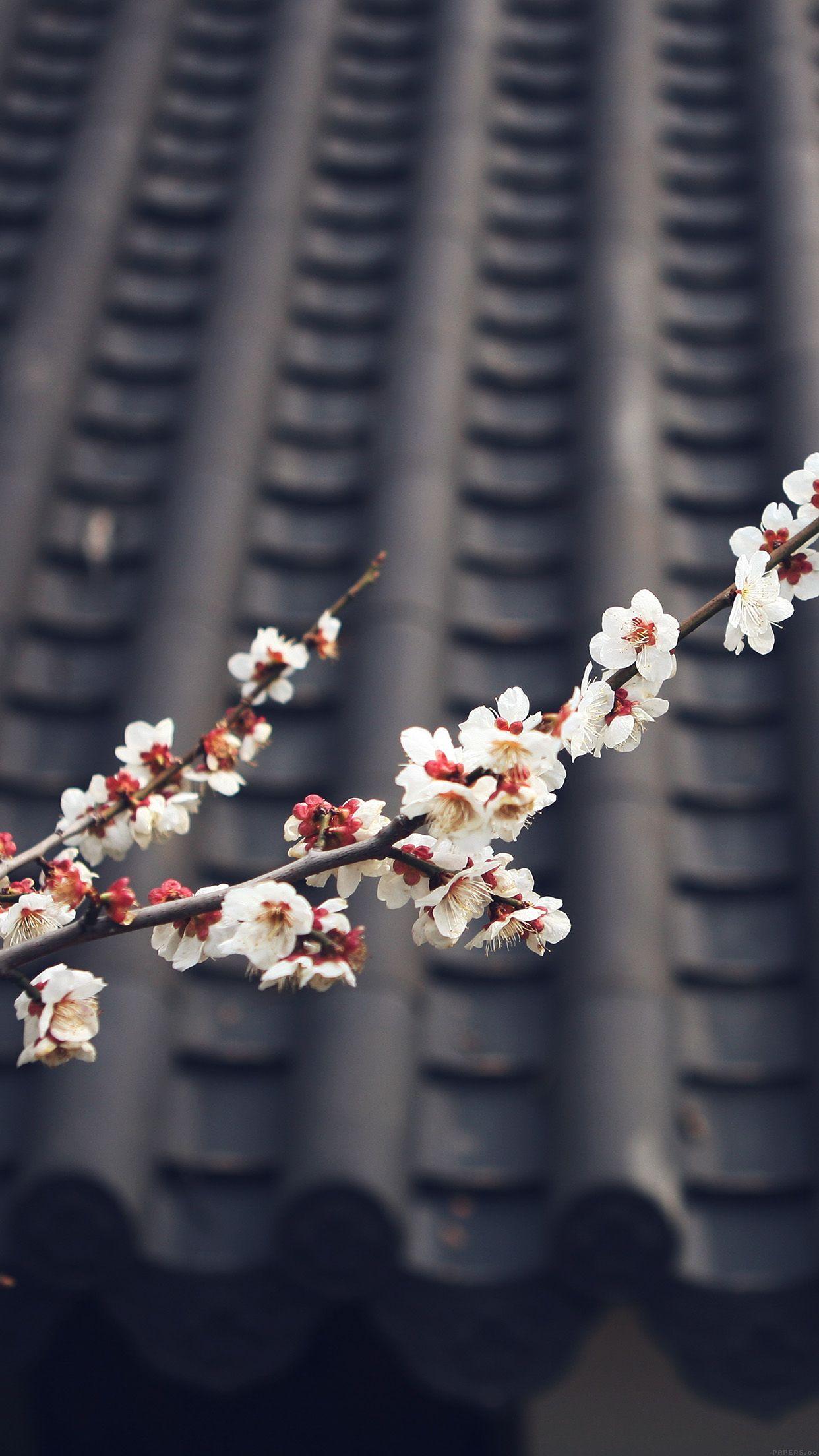 1242x2208 iPhone7papers blossom spring fun nature