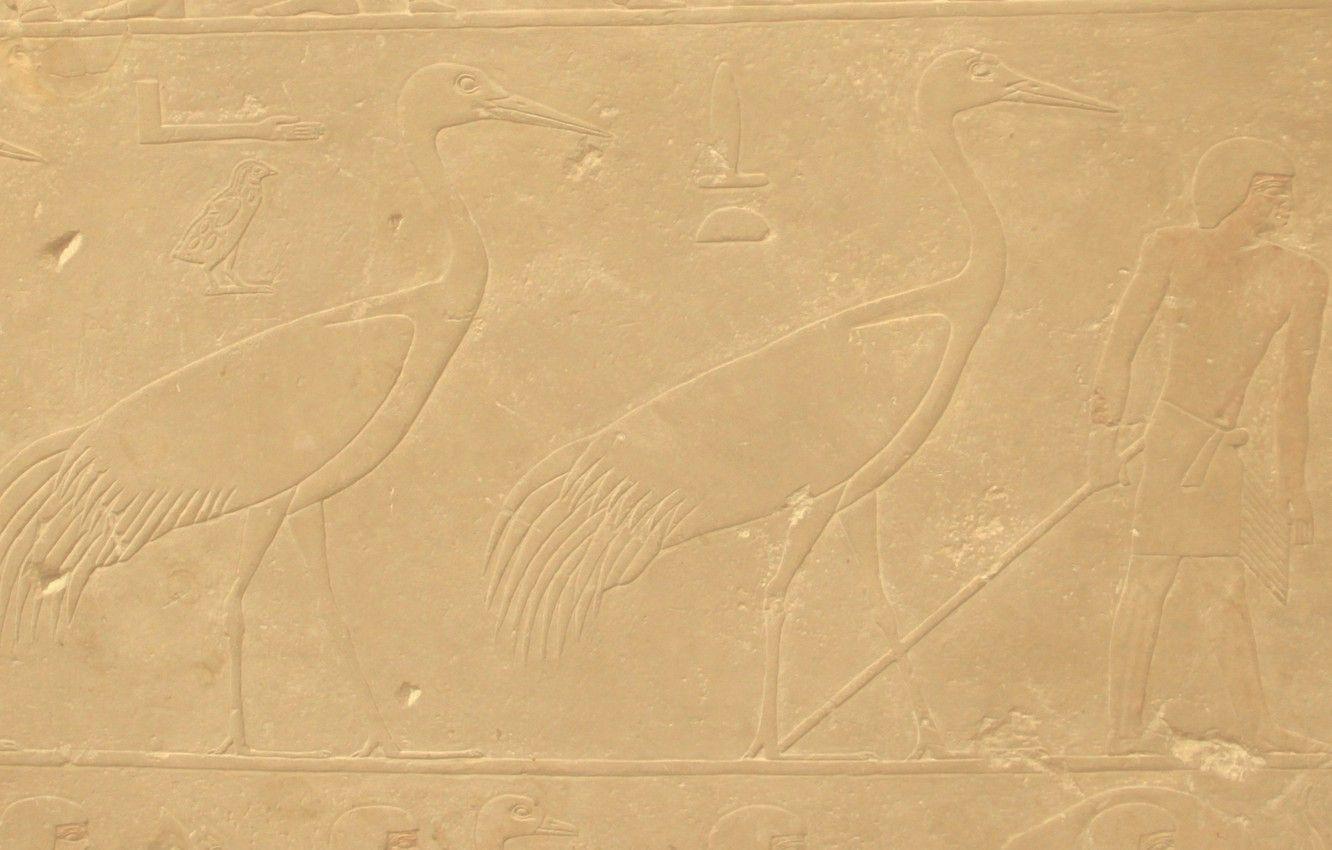 1332x850 Wallpaper bird, stone, people, texture, symbol, Egypt, profile, bird, Egypt, man, symbol, crane, stick, bas, egyptian, scumbria image for desktop, section текстуры