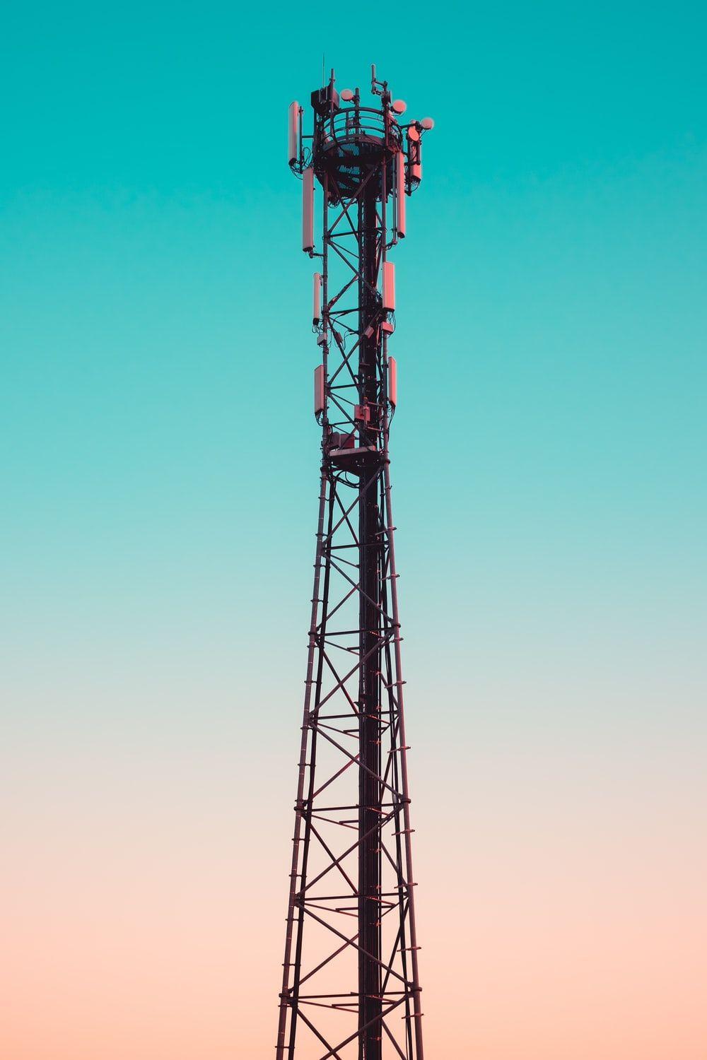 1000x1500 Antenna Picture. Download Free Image