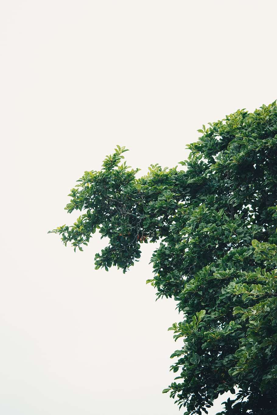 Calm Minimalist Wallpapers - Top Free Calm Minimalist Backgrounds