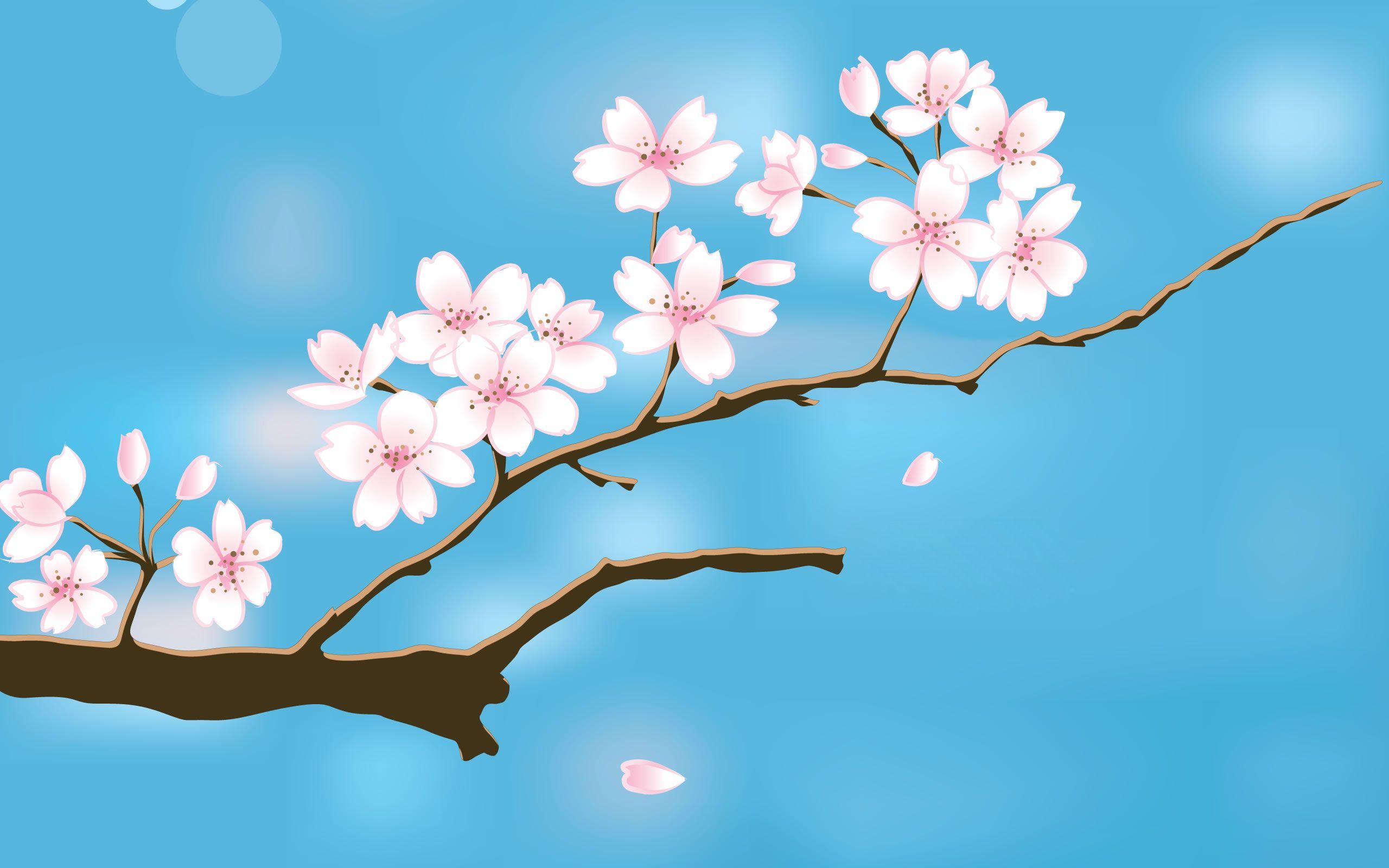 2560x1600 Spring Background free download