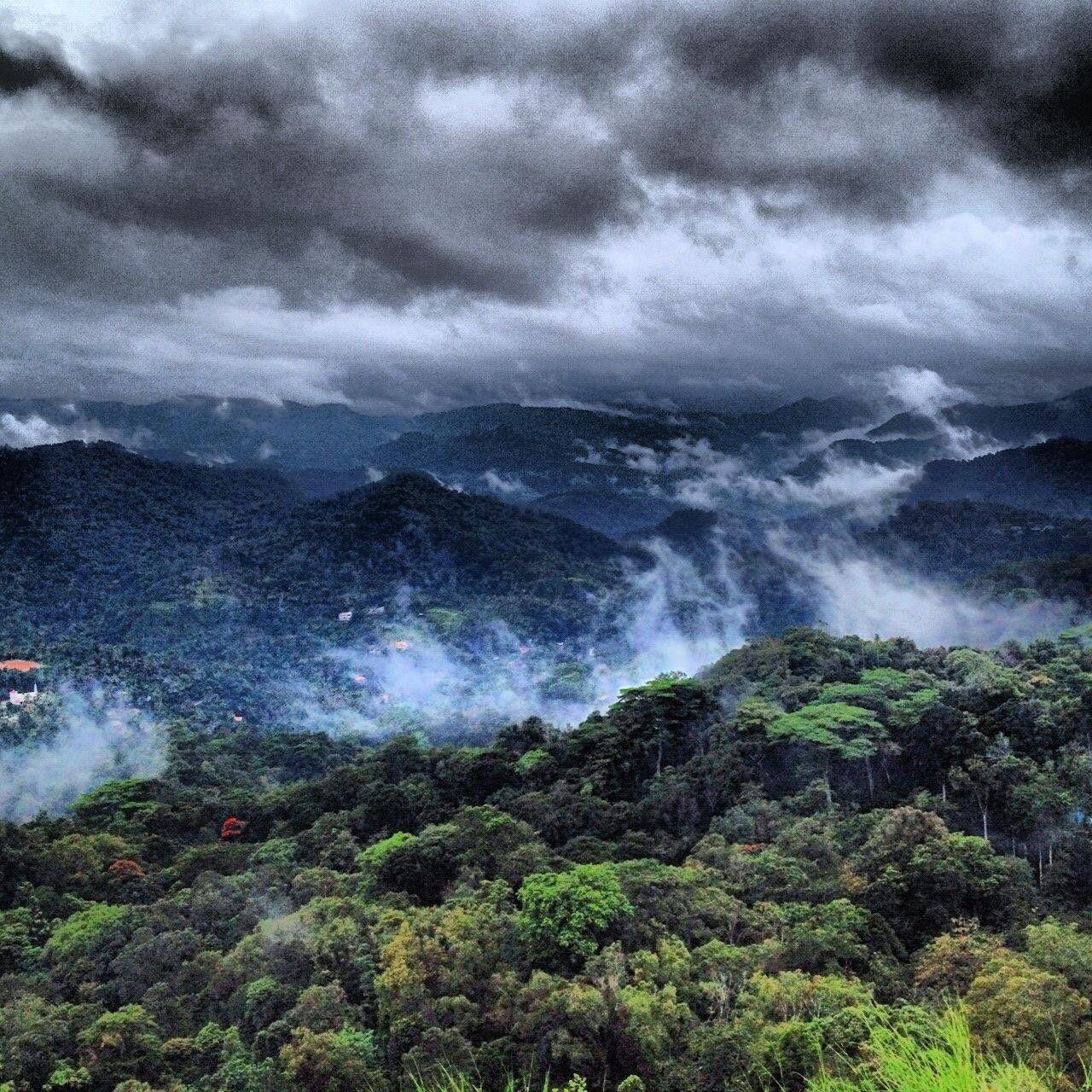 Kerala Forest Wallpapers Top Free Kerala Forest Backgrounds