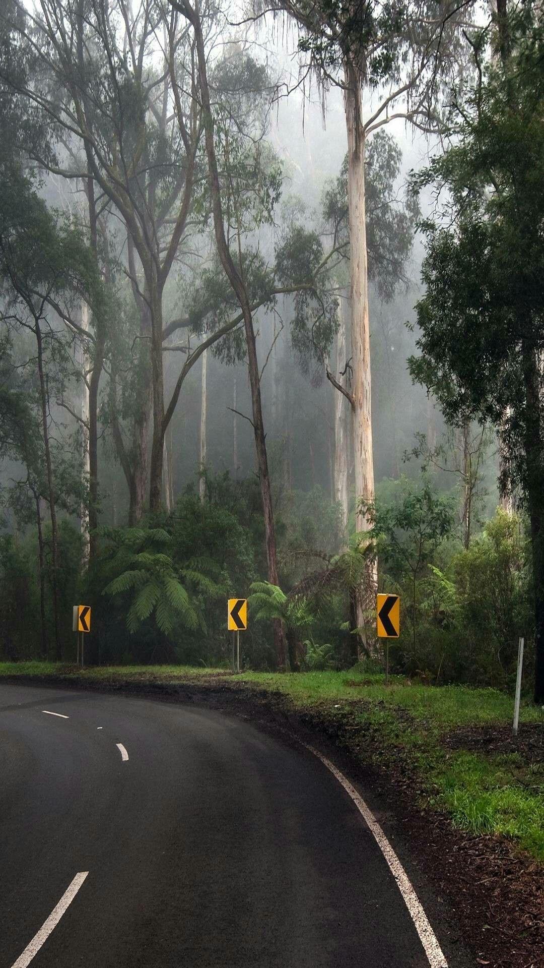 1080x1920 Kerala. Green nature wallpaper, Nature wallpaper, 3D nature wallpaper