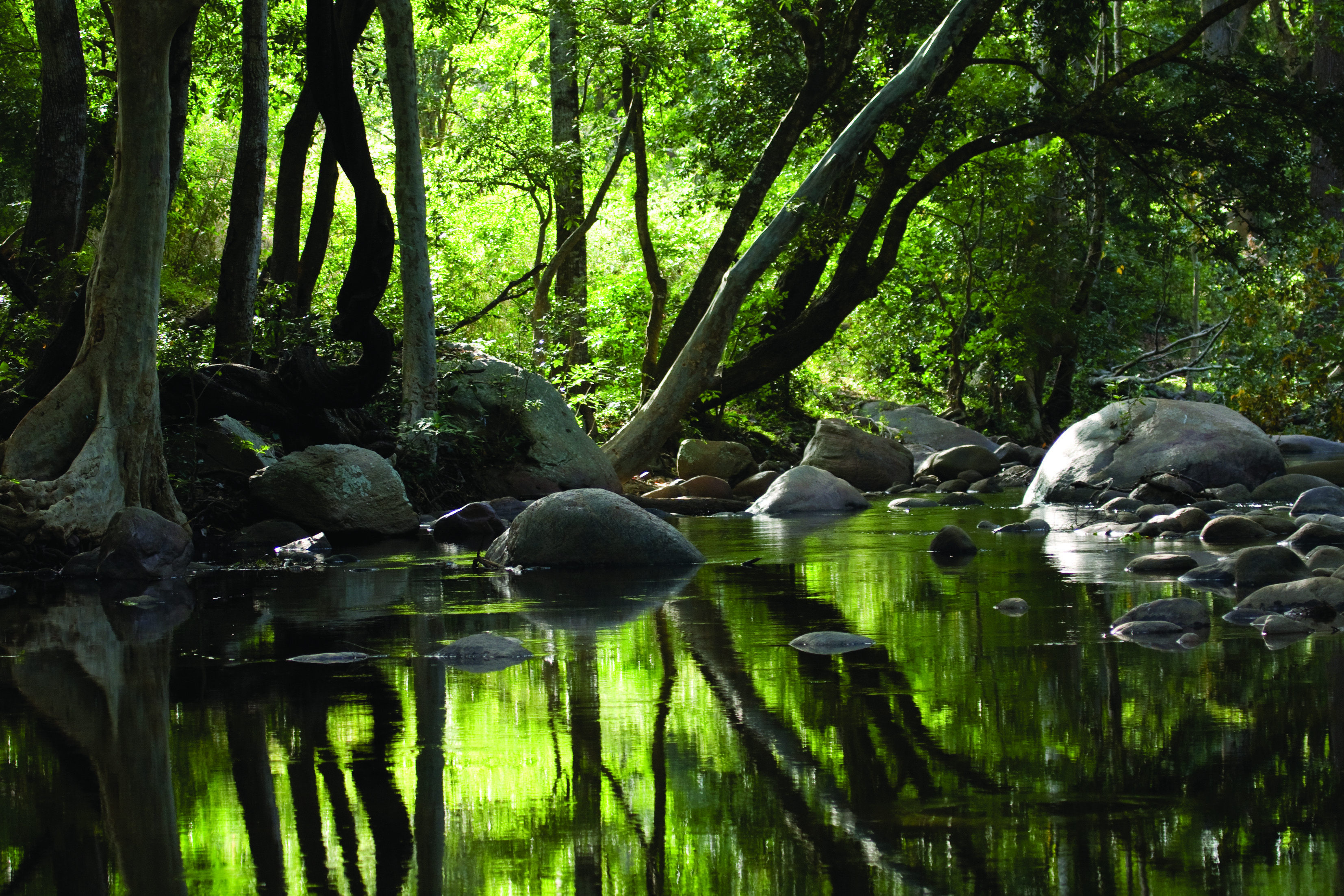 3307x2205 Hills and hill stations of Kerala