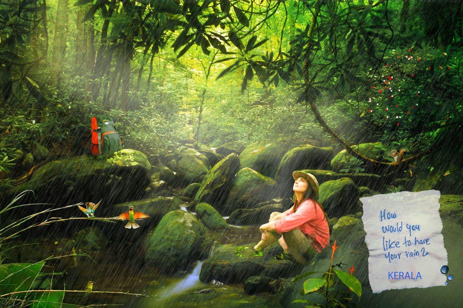 1600x1067 Wallpaper Nature In Kerala Forest Bg