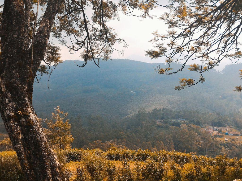 1024x768 of Nature 4K wallpaper for your desktop or mobile screen