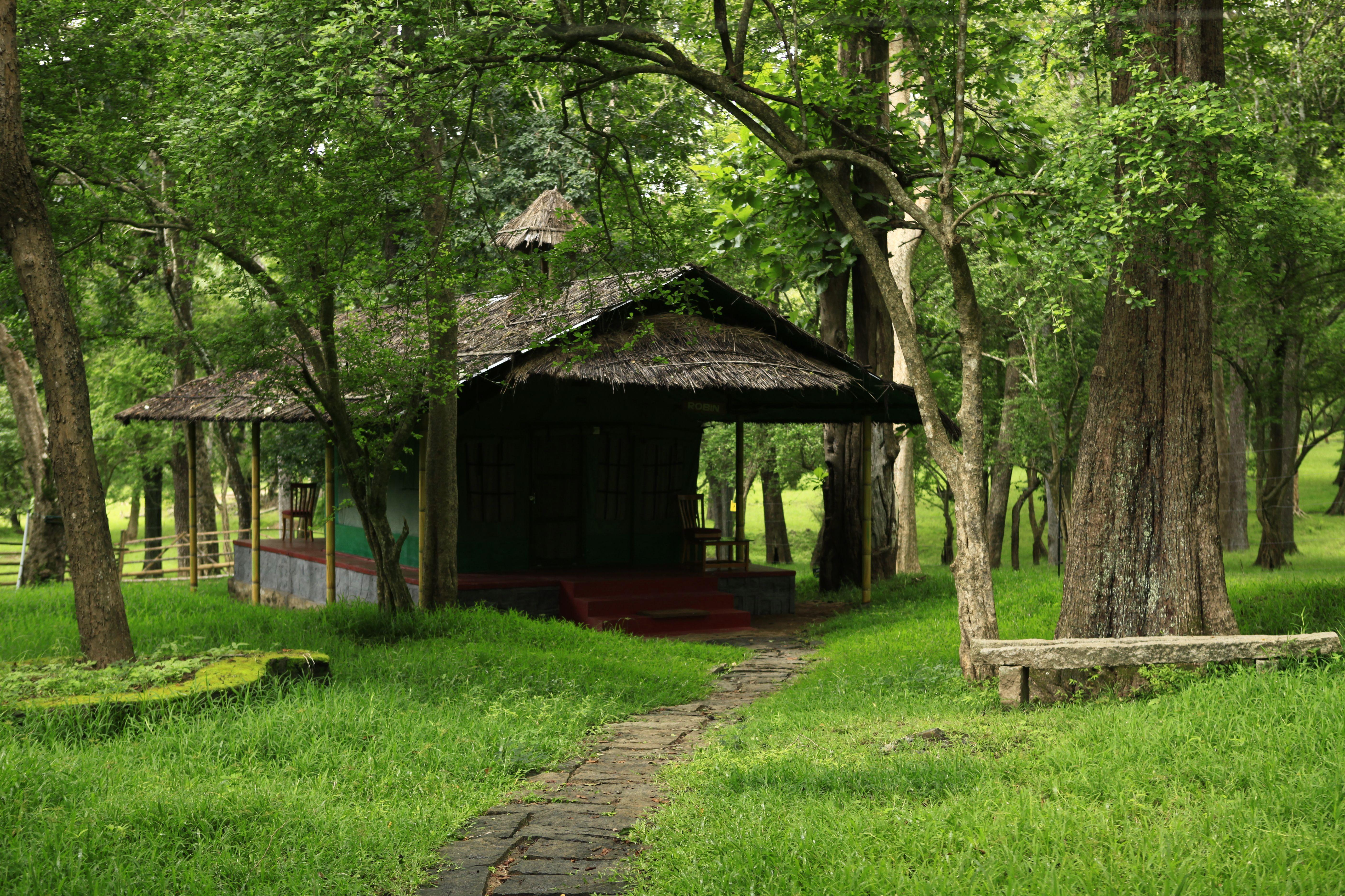 5616x3744 Wallpaper Nature In Kerala Forest Bg