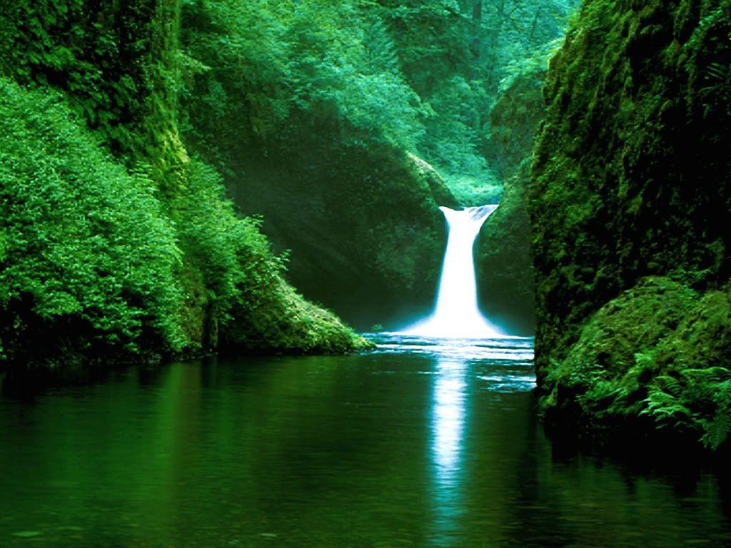 1024x768 Free download Green Waterfall 15240 HD Wallpaper in Nature Imagecicom [1024x768] for your Desktop, Mobile & Tablet. Explore Waterfall HD Wallpaper. HD Waterfall Wallpaper 1080p, Windows Waterfall Wallpaper, Live