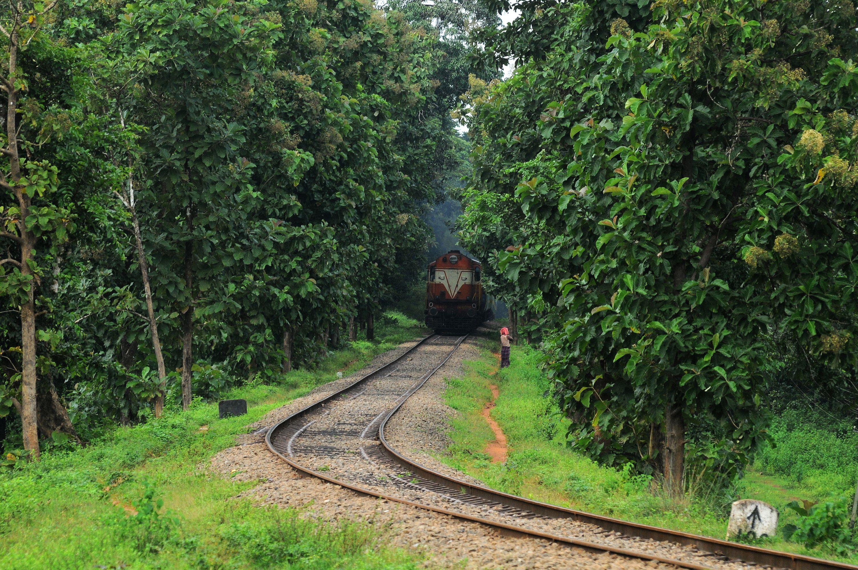 3008x1998 Kerala Travel Gate