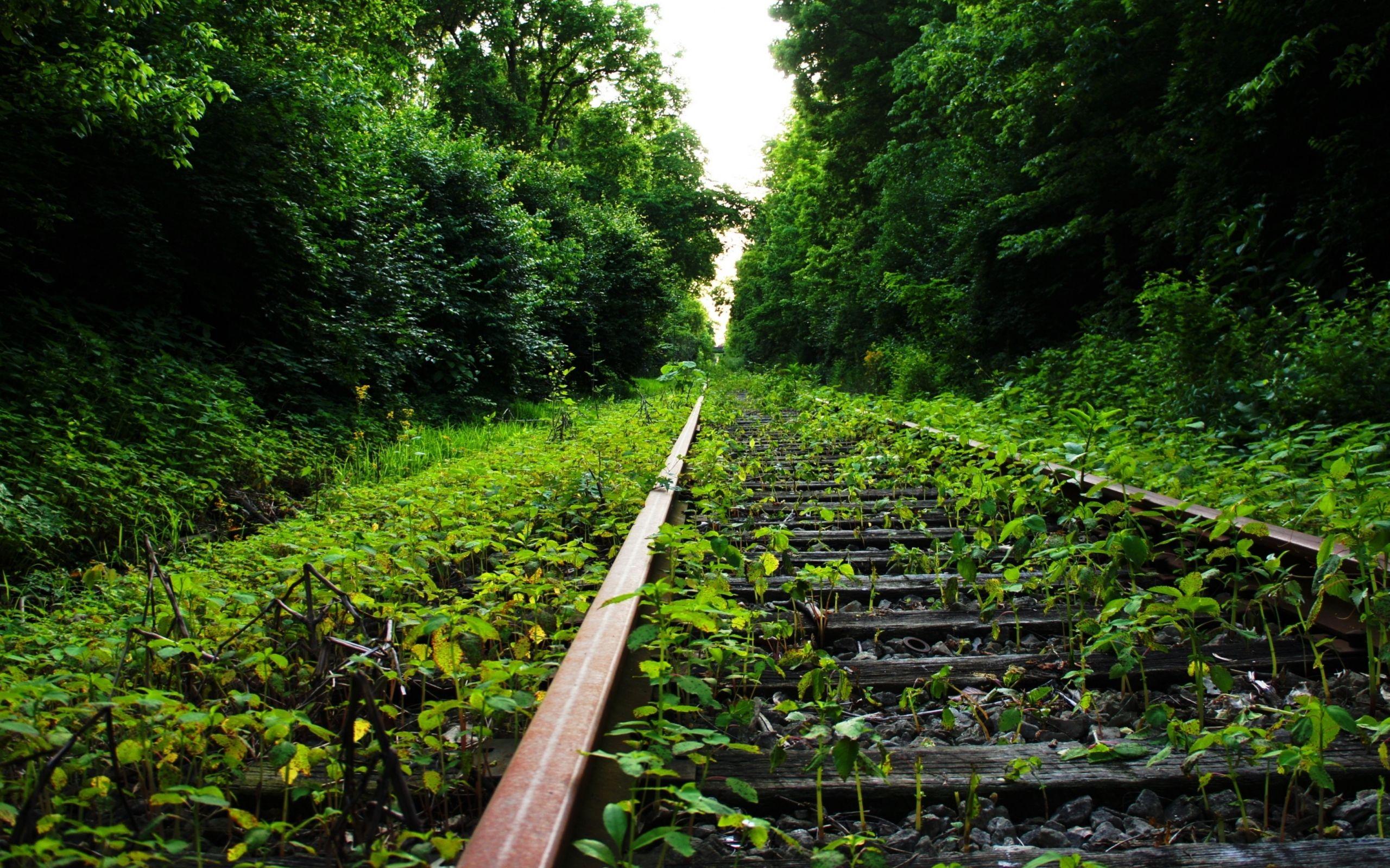 2560x1600 Kerala Wallpaper For Desktop