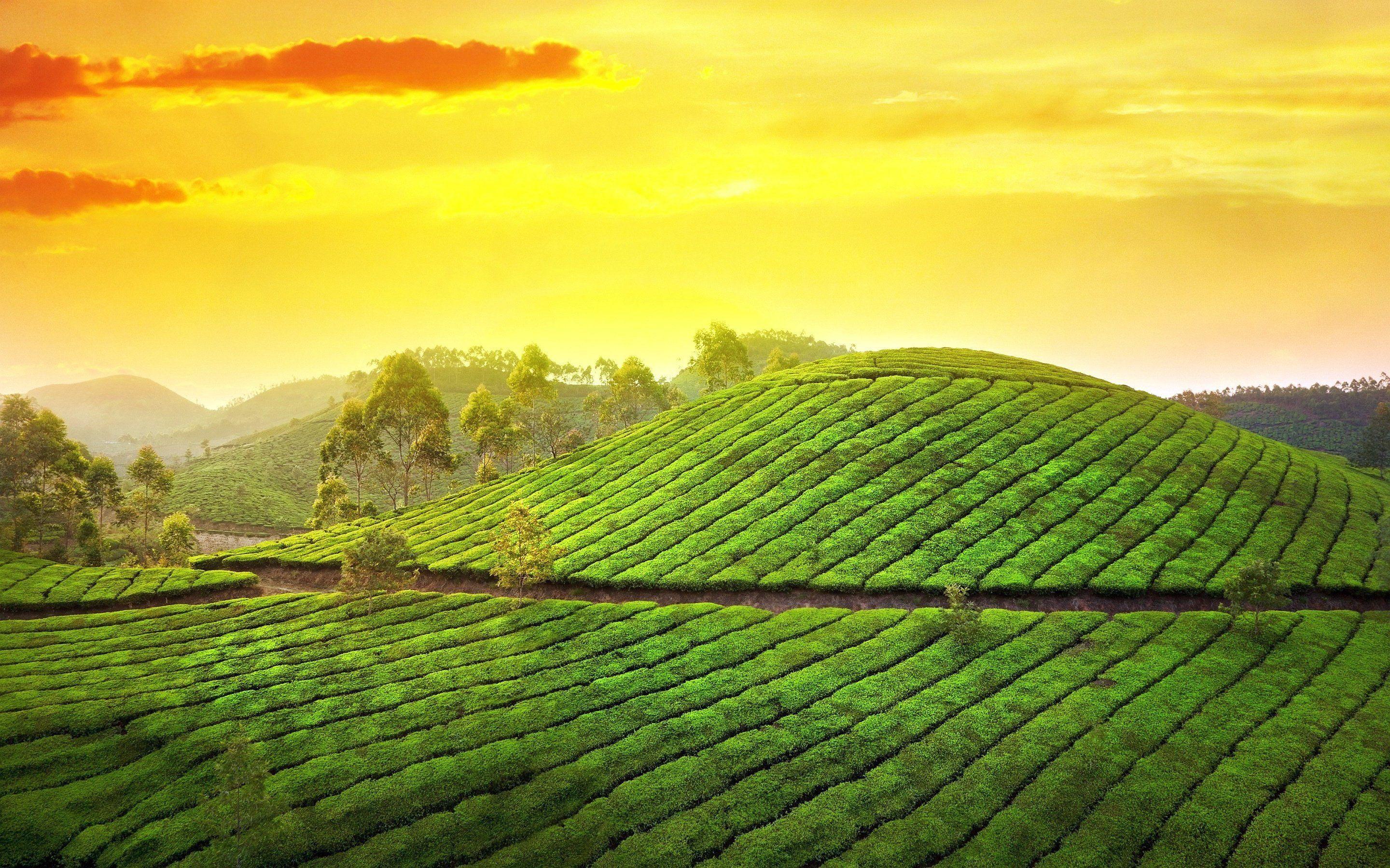 2880x1800 Kerala HD Wallpaper 1080P .
