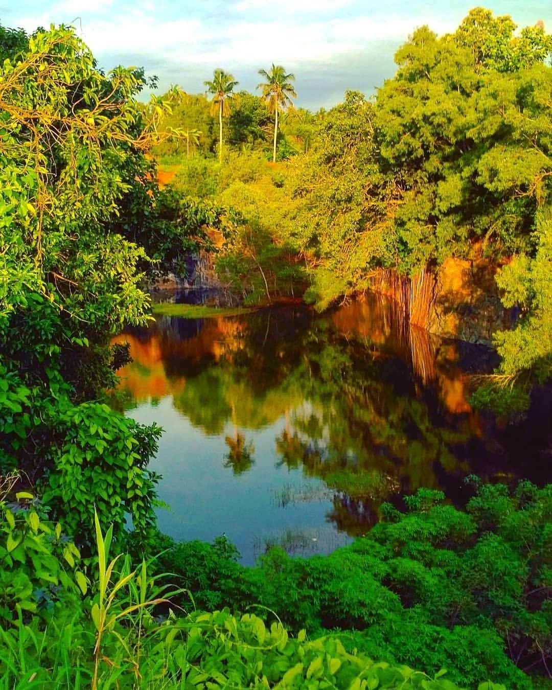 1080x1350 29++ Kerala Greenery Wallpaper Nature