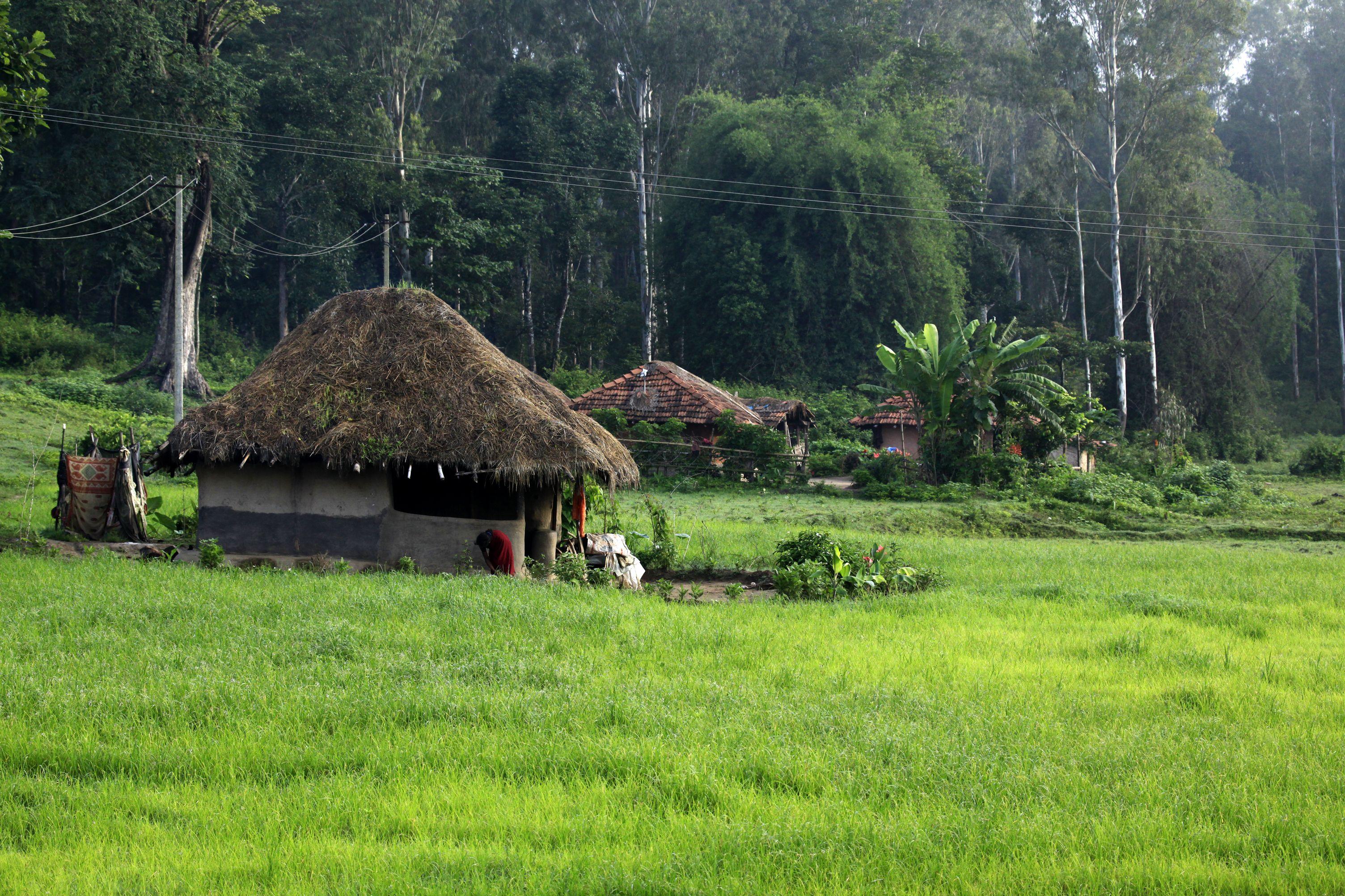 3008x2005 Kerala Nature HD Wallpaper