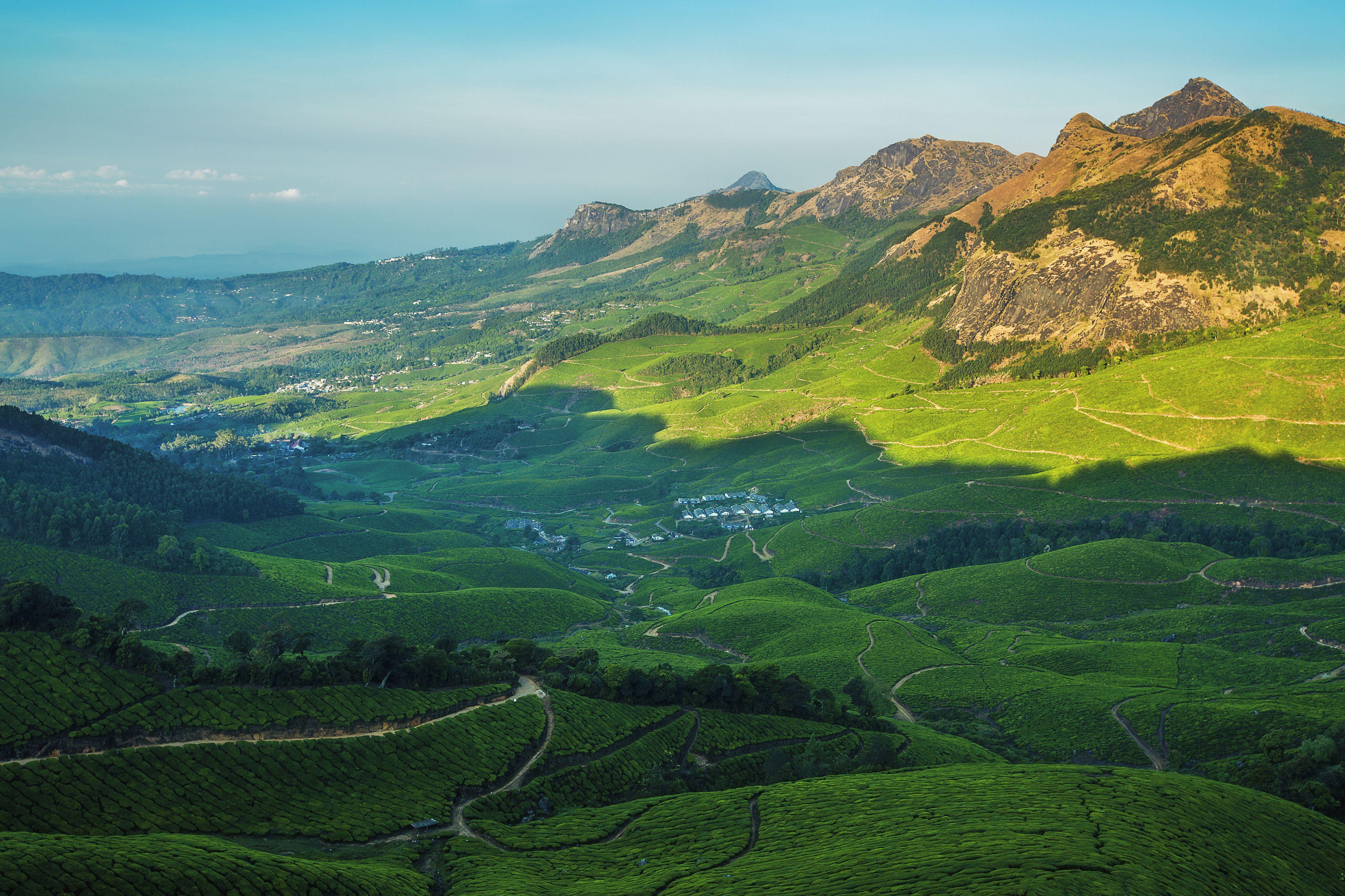 4200x2800 Photos India Kolukkumali Munnar Kerala Nature Hill Fields 4200x2800