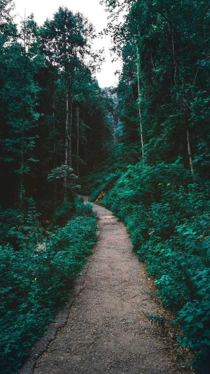 720x1280 Beautiful