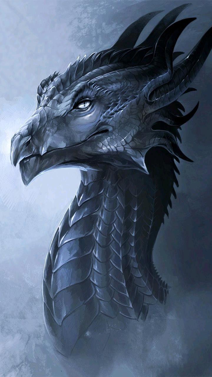 720x1280 Dragon Wallpaper. Dragon picture, Dragon art, Beautiful dragon