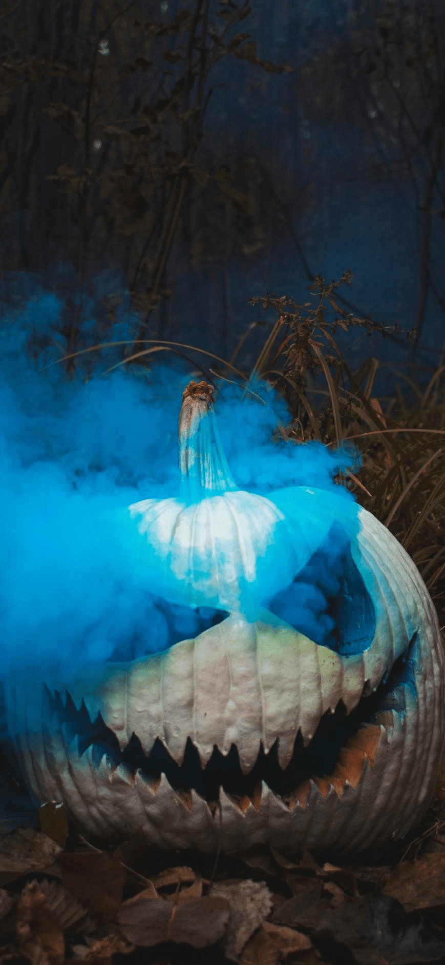 869x1882 Halloween Wallpaper art: Free HD Download