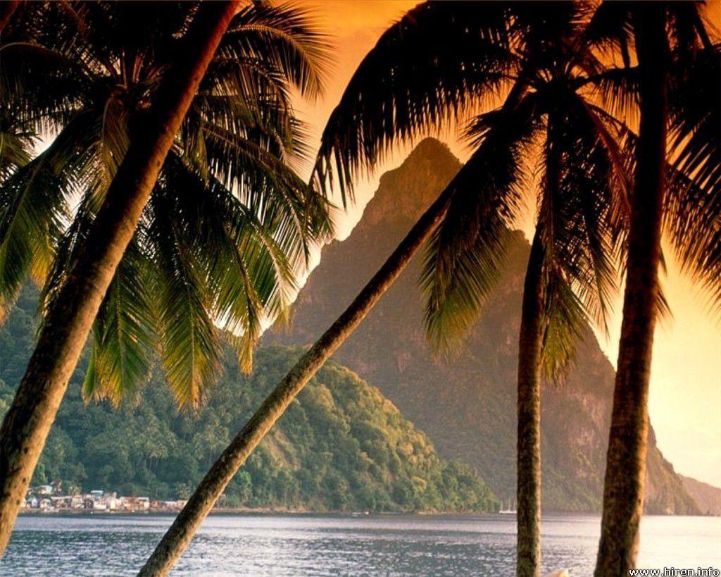 1024x819 The Piton, Soufriere, St Lucia. Places to travel, Places to go, Favorite places