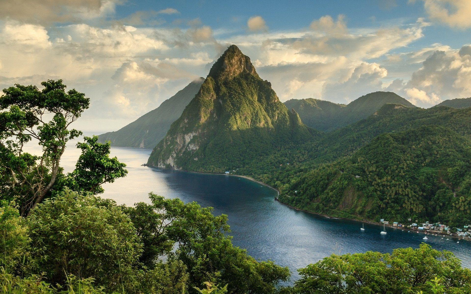 1920x1200 St Lucia Background. Best Wallpaper, Beautiful Forest Wallpaper and Amazing Forest Wallpaper