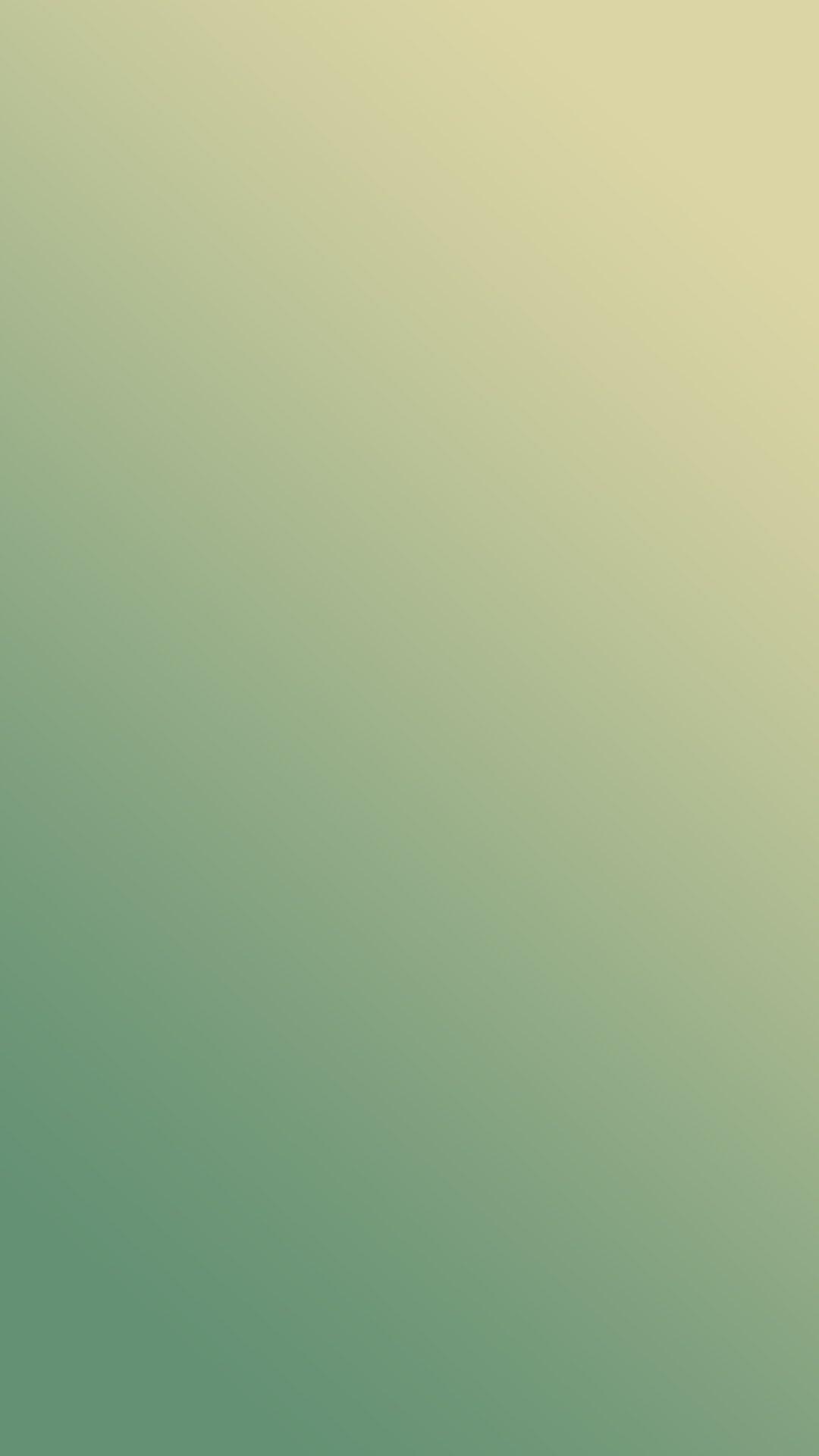 1080x1920 iPhone 6 / iPhone 6 Plus Wallpaper
