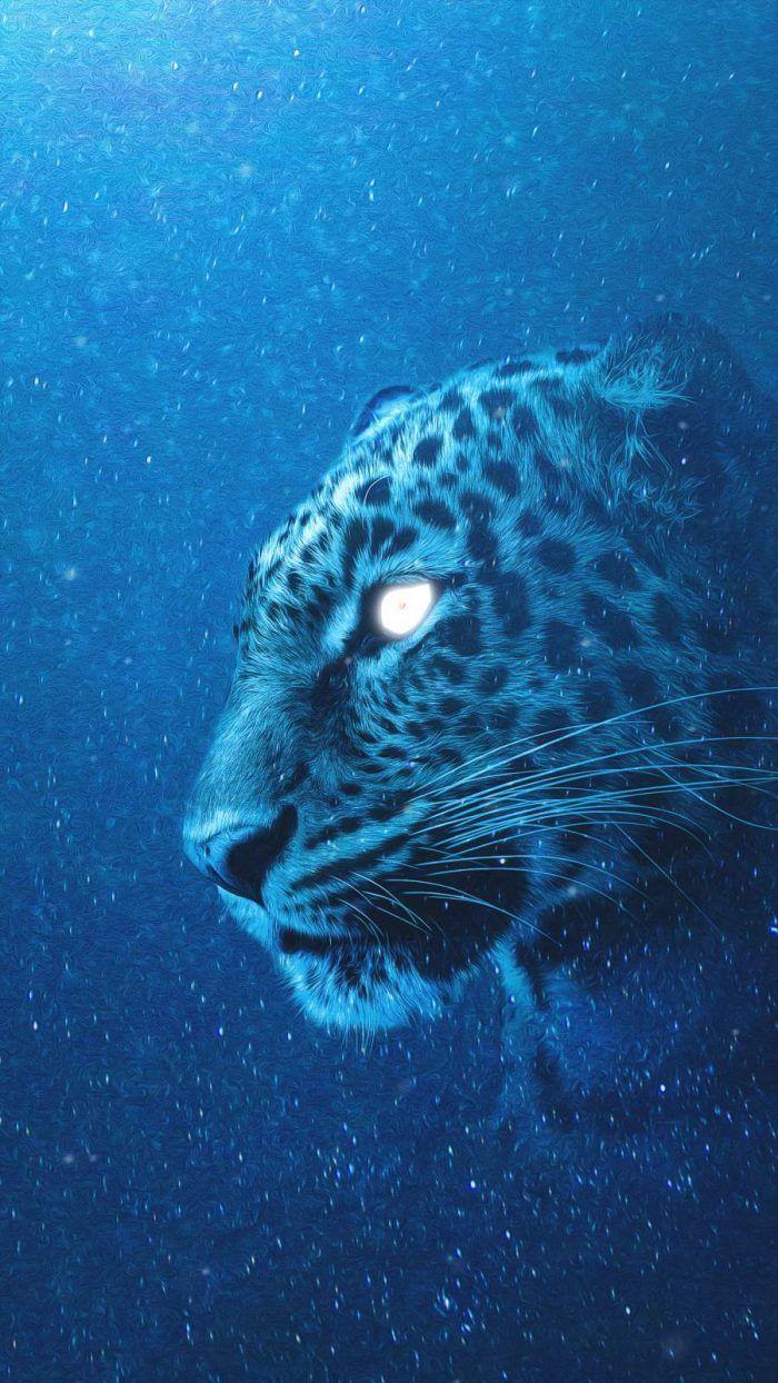 Snow Leopard Iphone Wallpapers Top Free Snow Leopard Iphone Backgrounds Wallpaperaccess