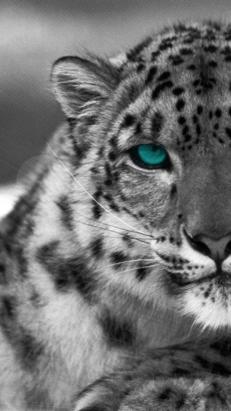 Snow Leopard iPhone Wallpapers - Top Free Snow Leopard iPhone ...