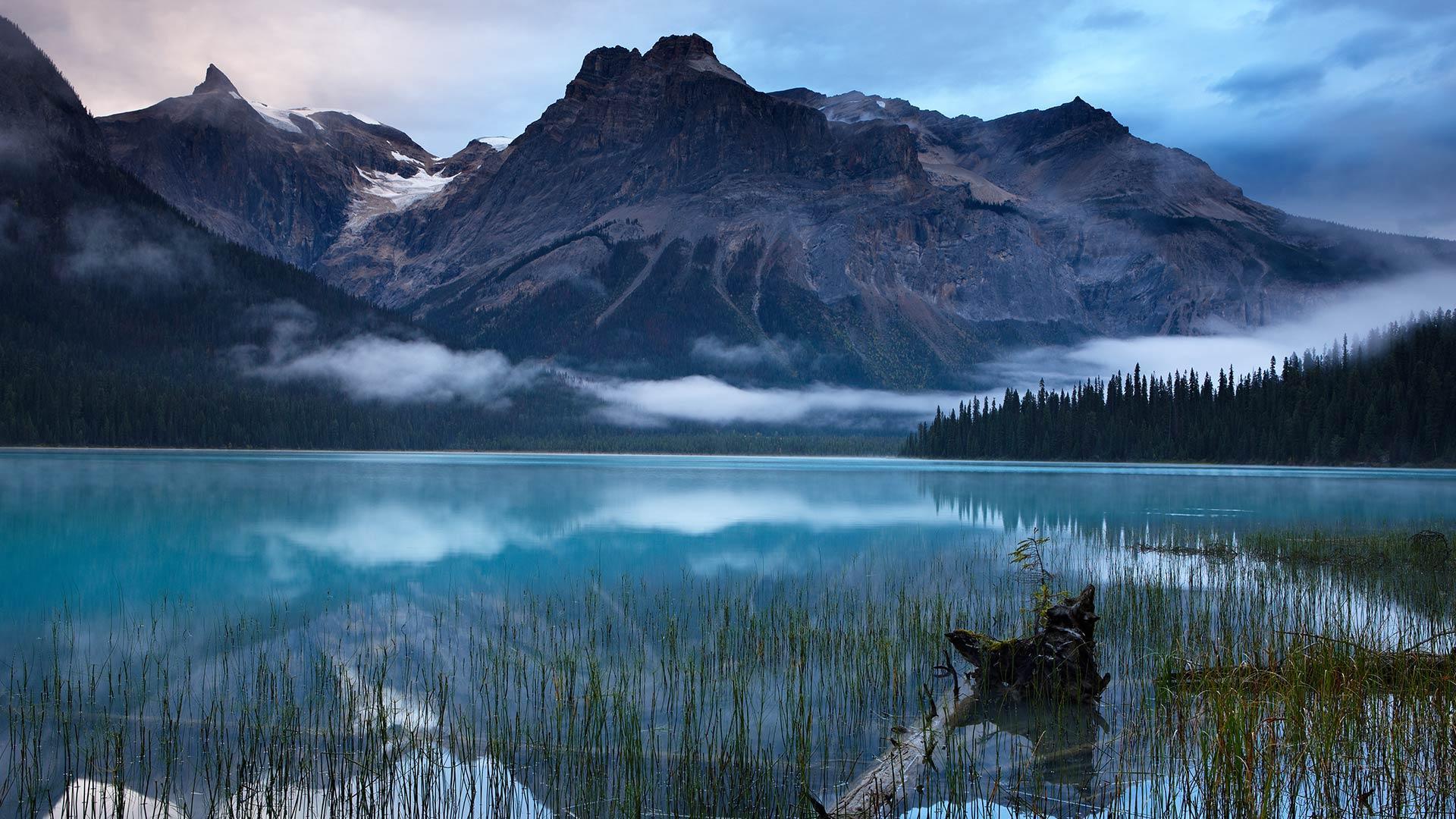 1920x1080 Emerald Lake Yoho National Park Wallpaper