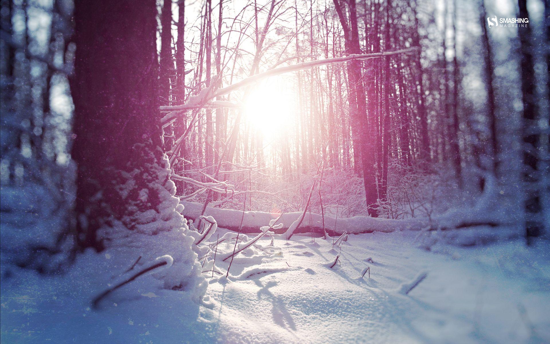 1920x1200 Desktop Wallpaper Calendars: January 2014