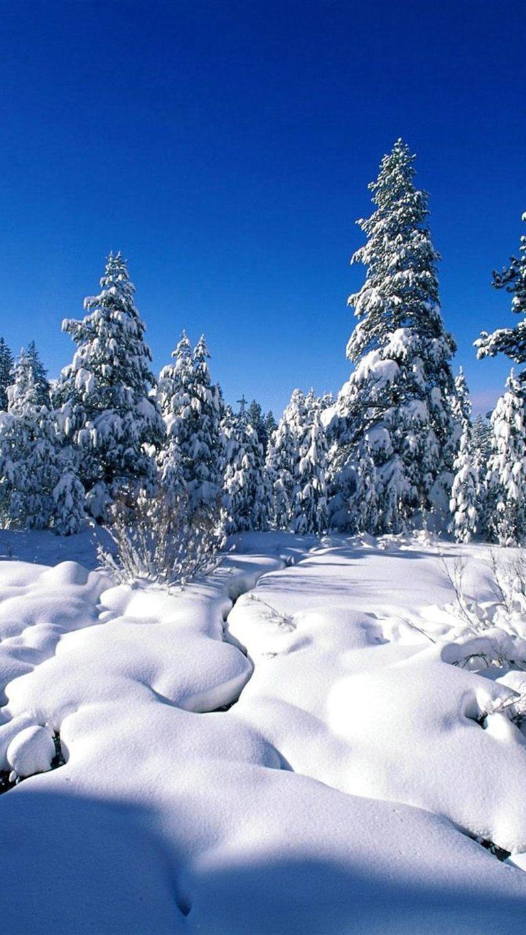 768x1365 Winter Wallpaper for iPhone Download Free. Winter wallpaper, Snow wallpaper iphone, Winter background