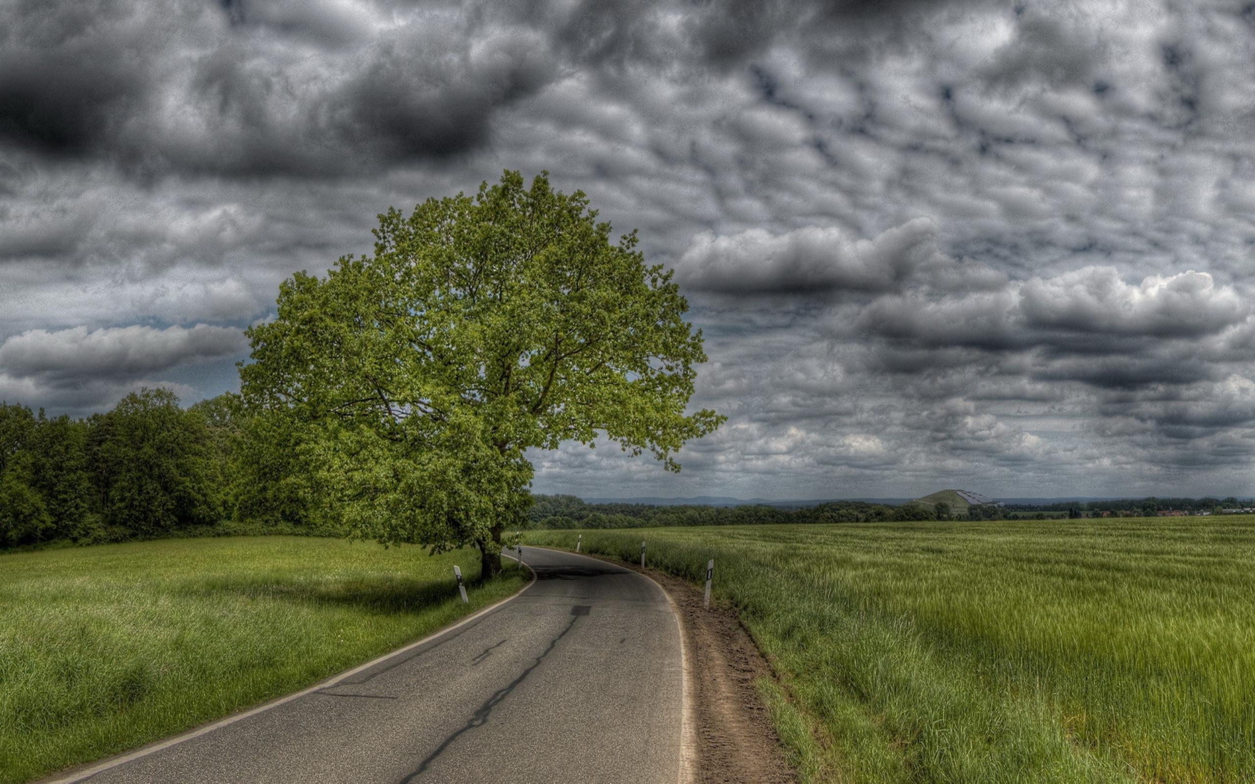 2560x1600 Country Road Wallpaper