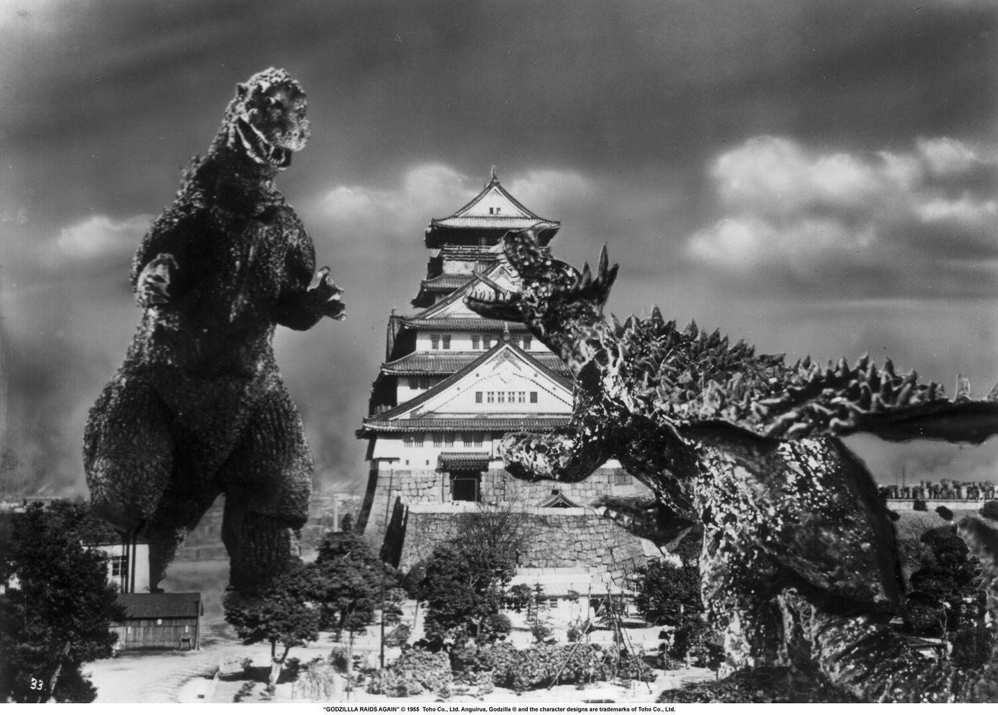 1429x1024 Godzilla vs Anguirus