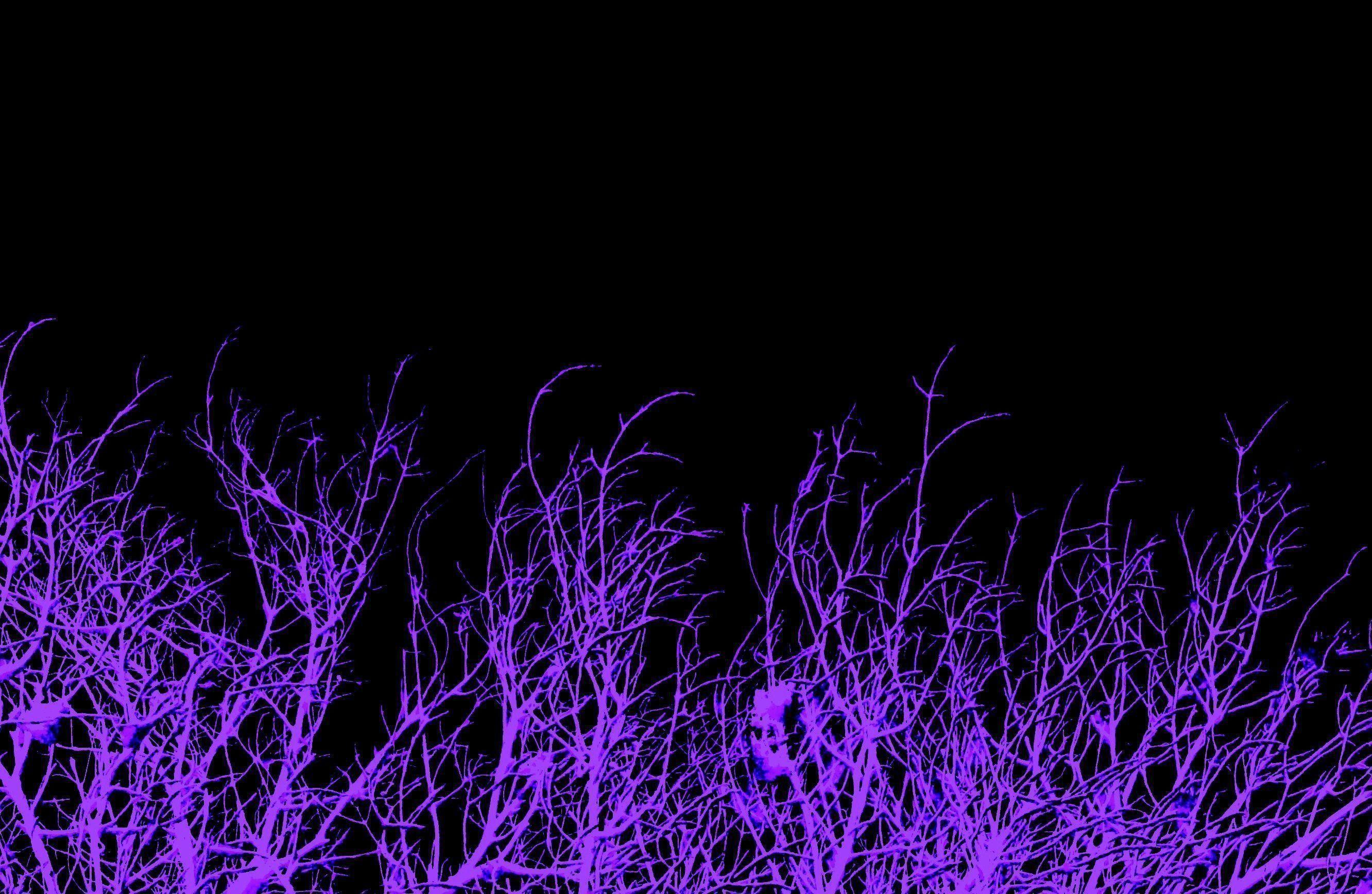 2664x1736 Glowing Purple Background .